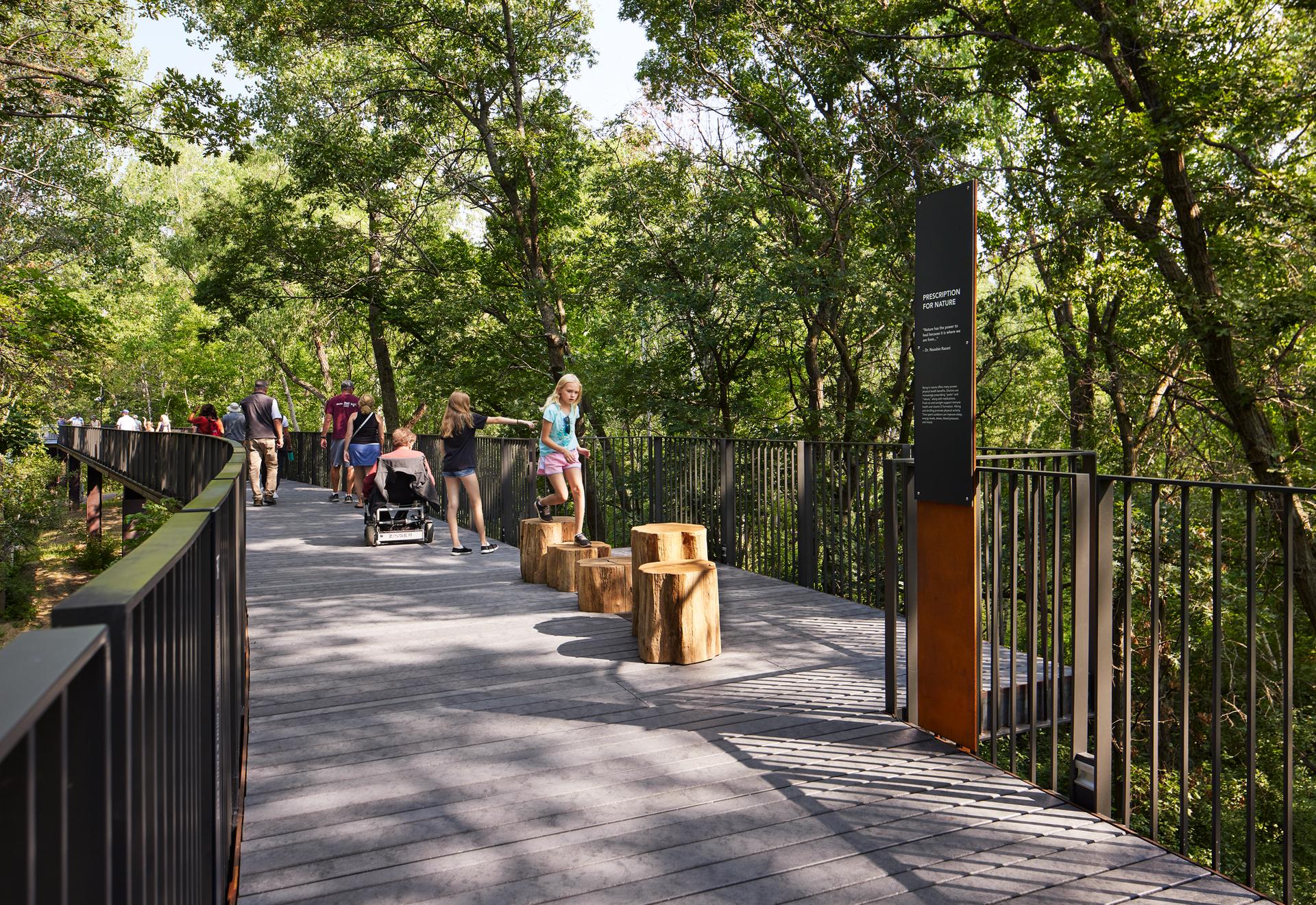Treetop Trail at the Minnesota Zoo - image 12