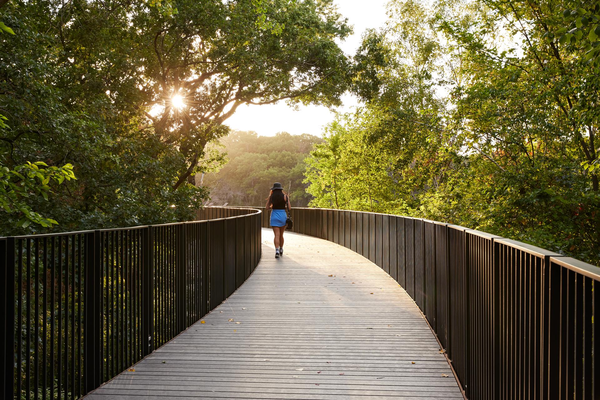 Treetop Trail at the Minnesota Zoo - image 15