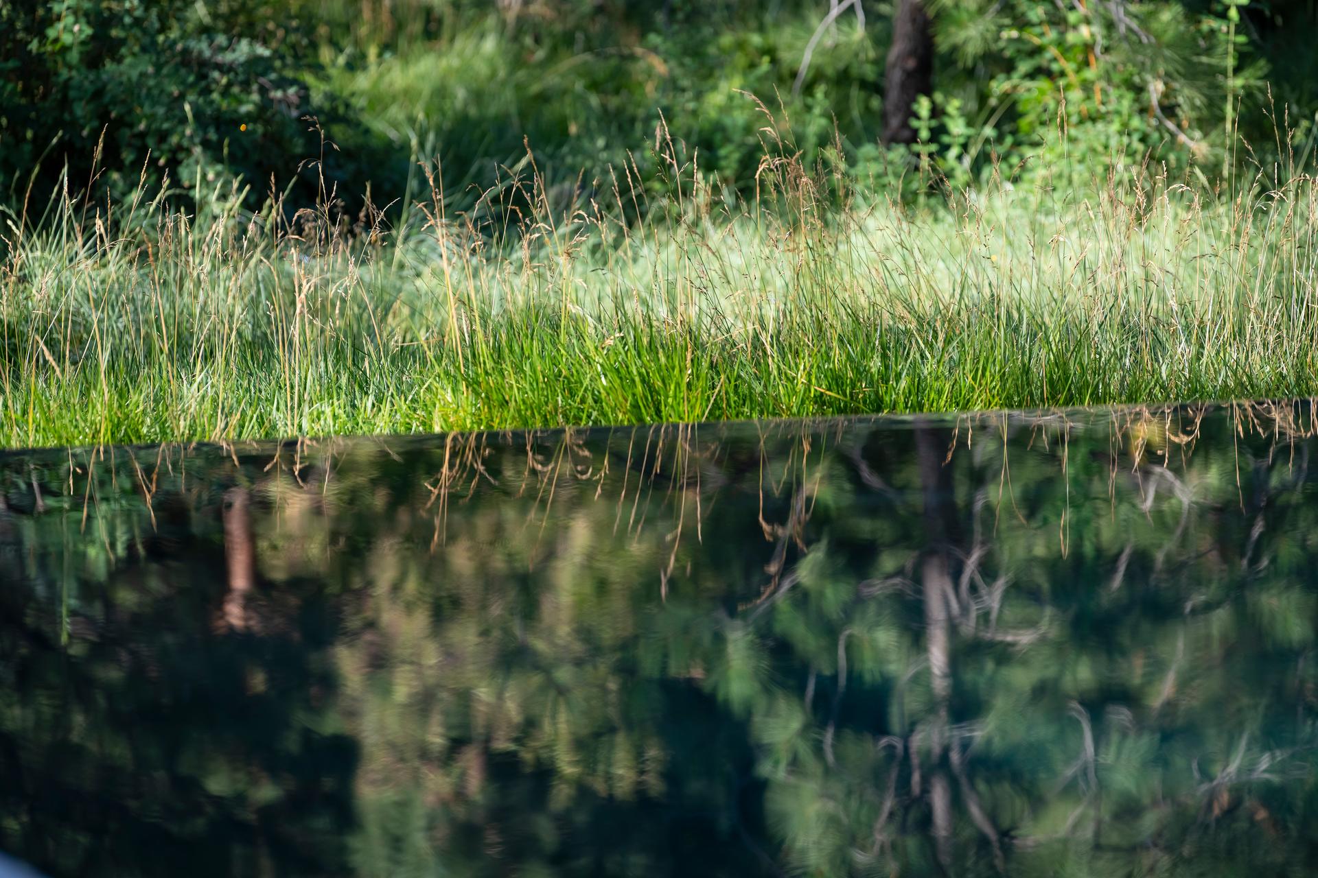 Nurturing Nature in the Mile-High City - image 10