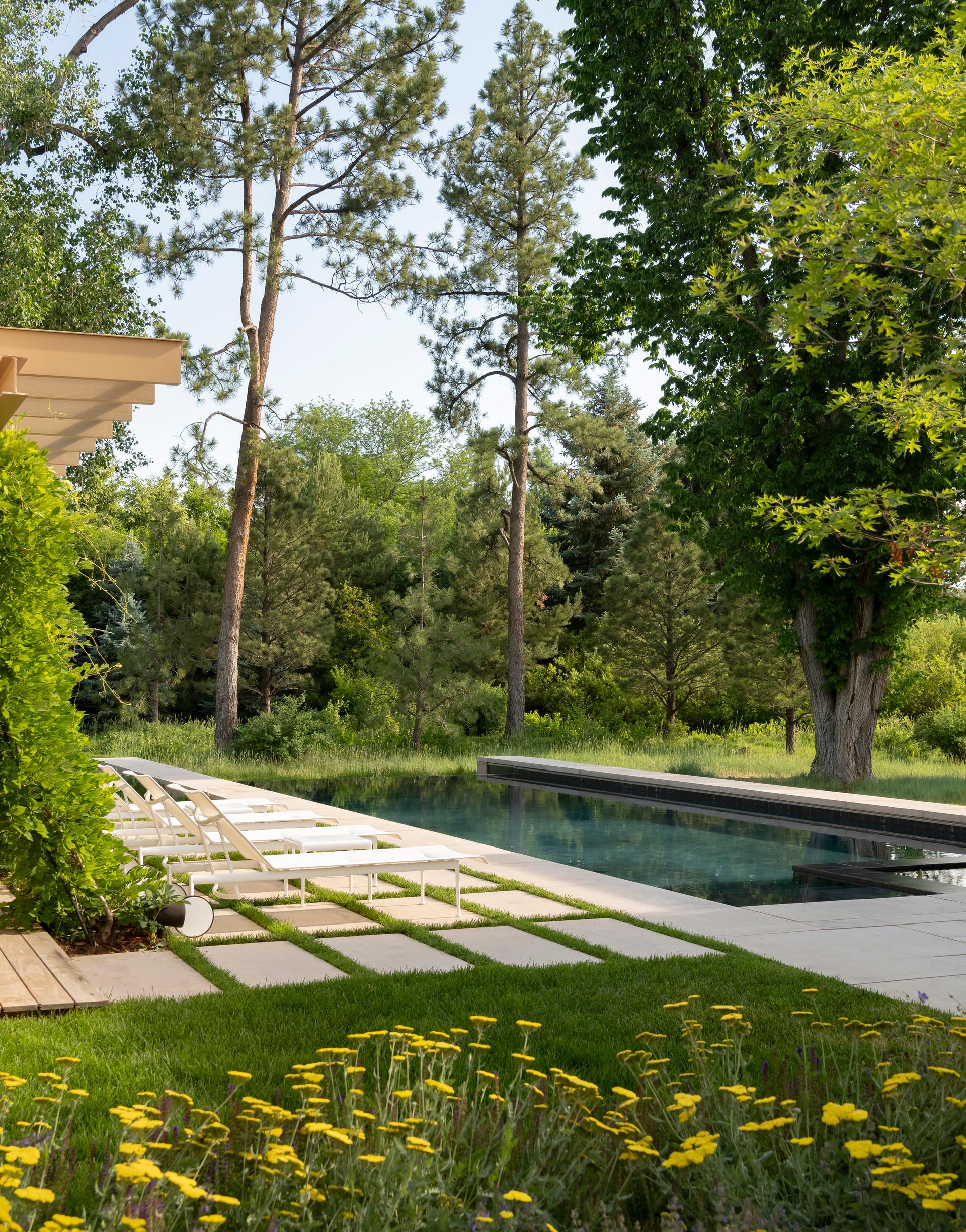 Nurturing Nature in the Mile-High City - image 11