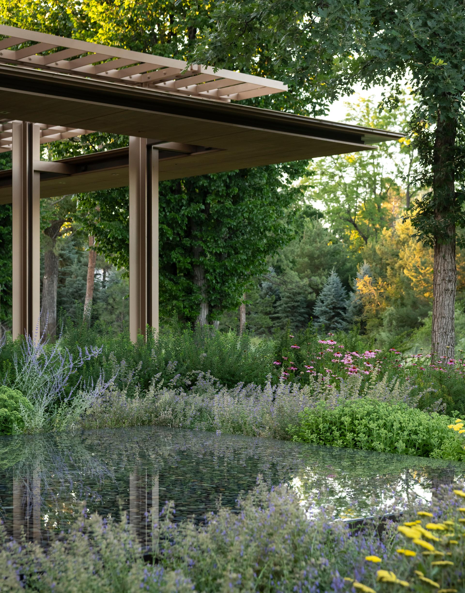 Nurturing Nature in the Mile-High City - image 3