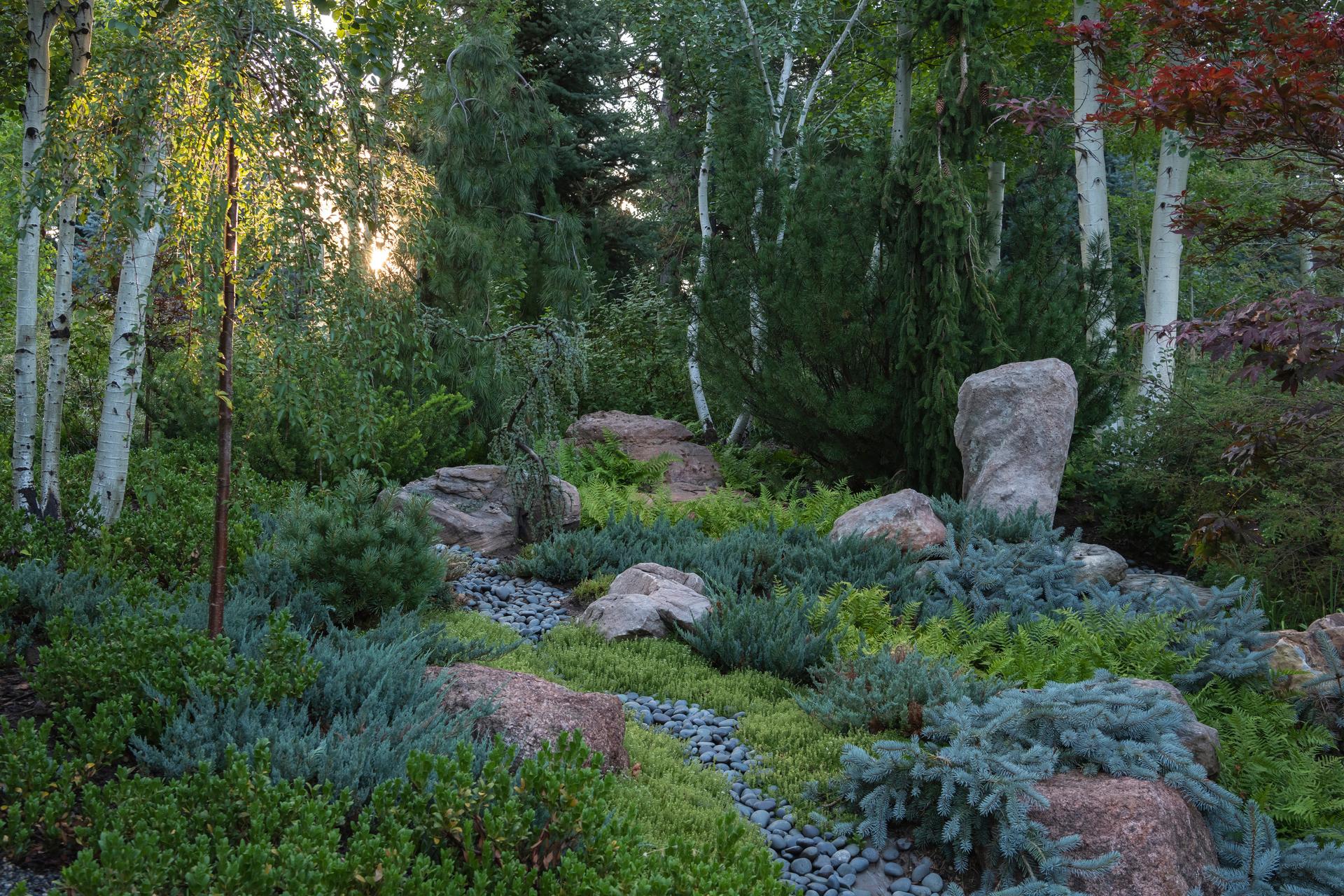 Nurturing Nature in the Mile-High City - image 6