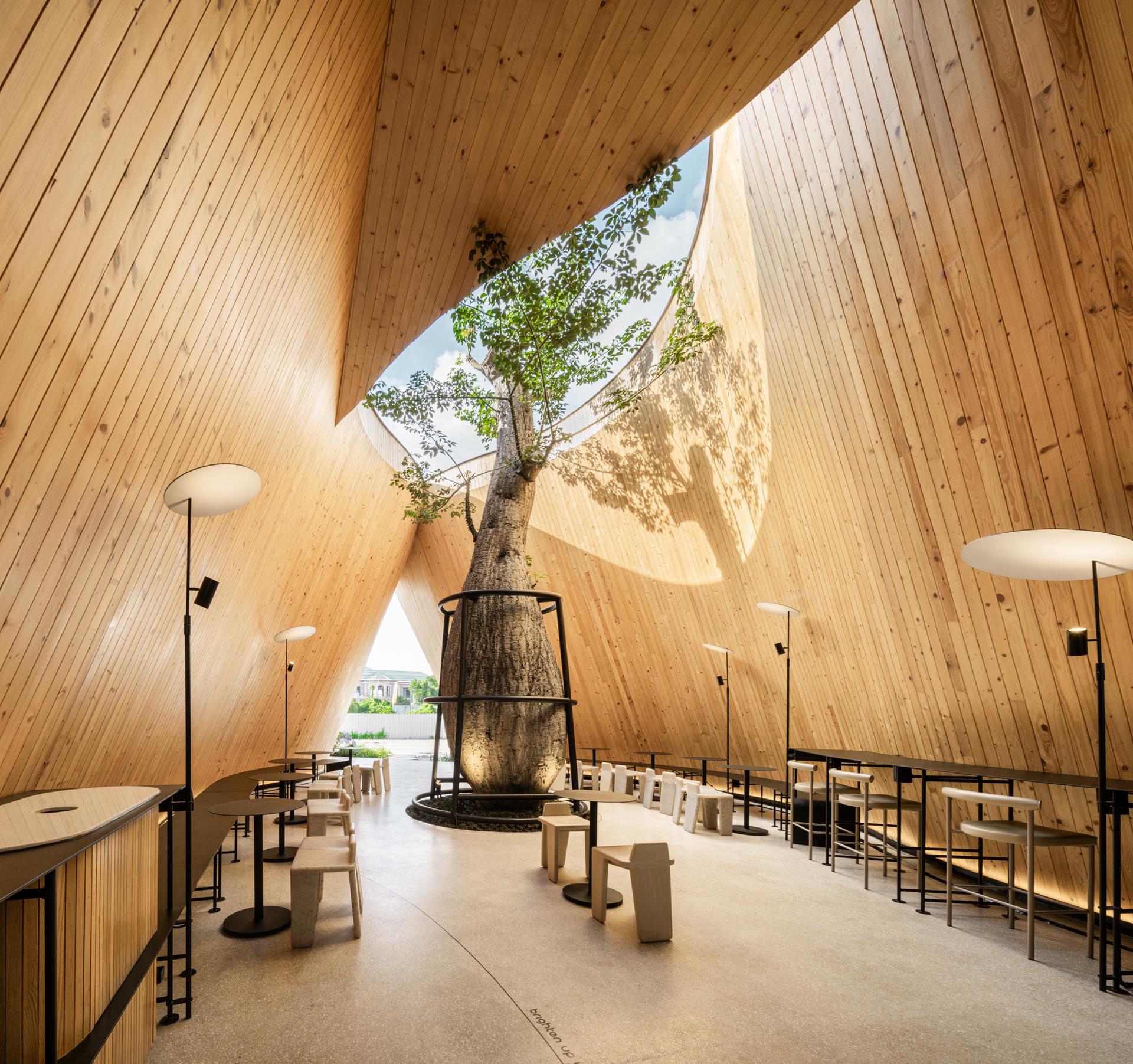 Harudot By Nana Coffee Roasters - image 9