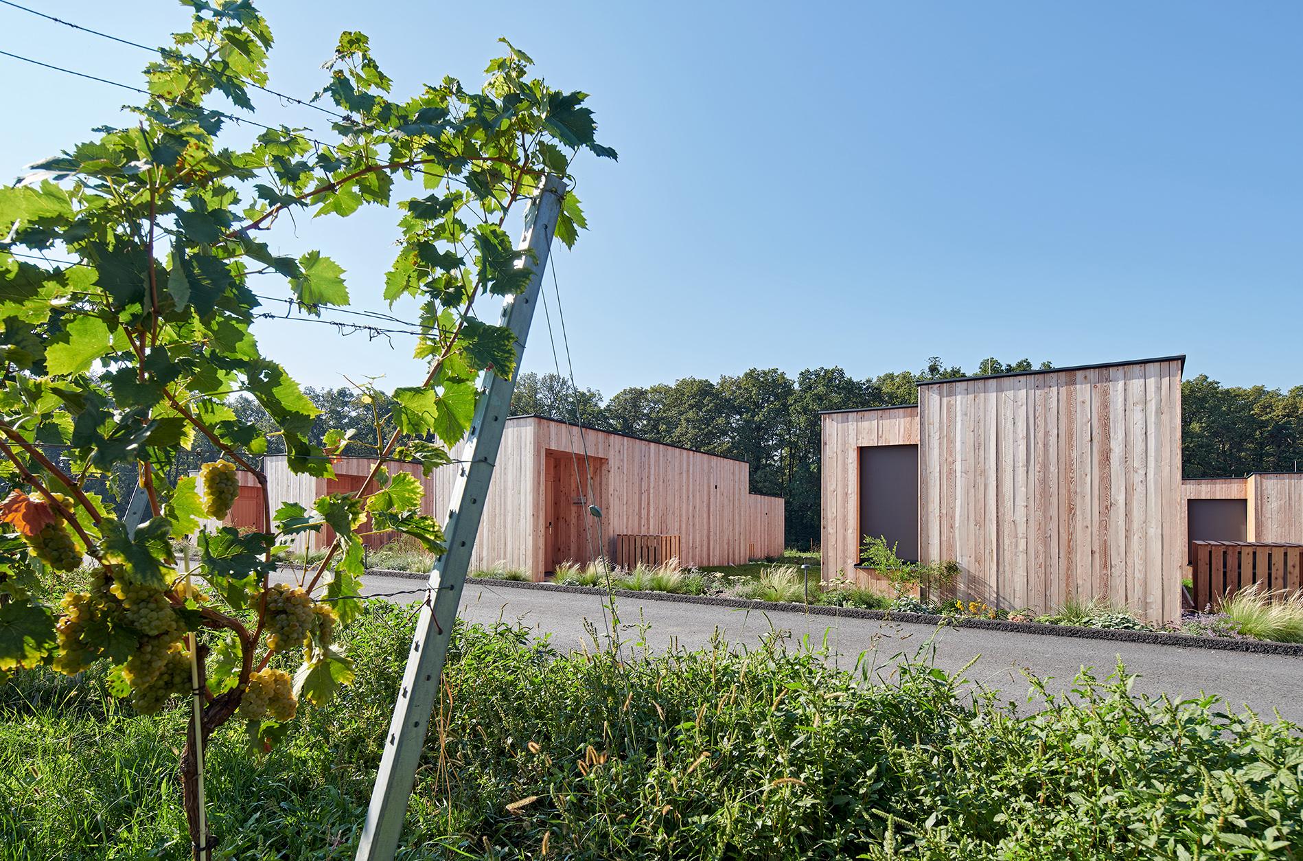 Extension "Wohnothek am Ratschen" - image 10