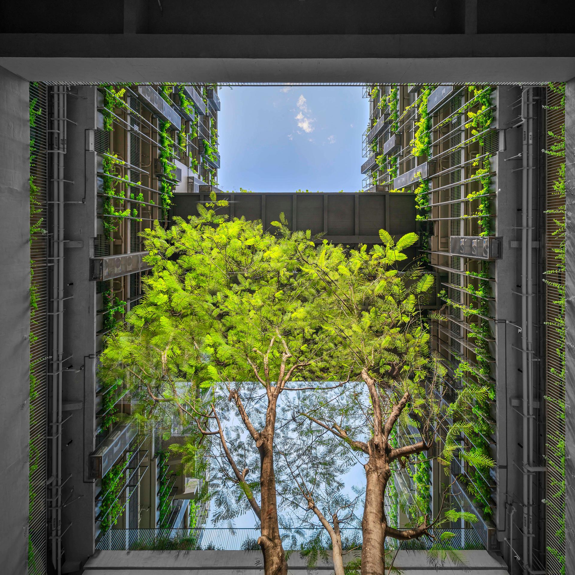 Shenzhen College of International Education