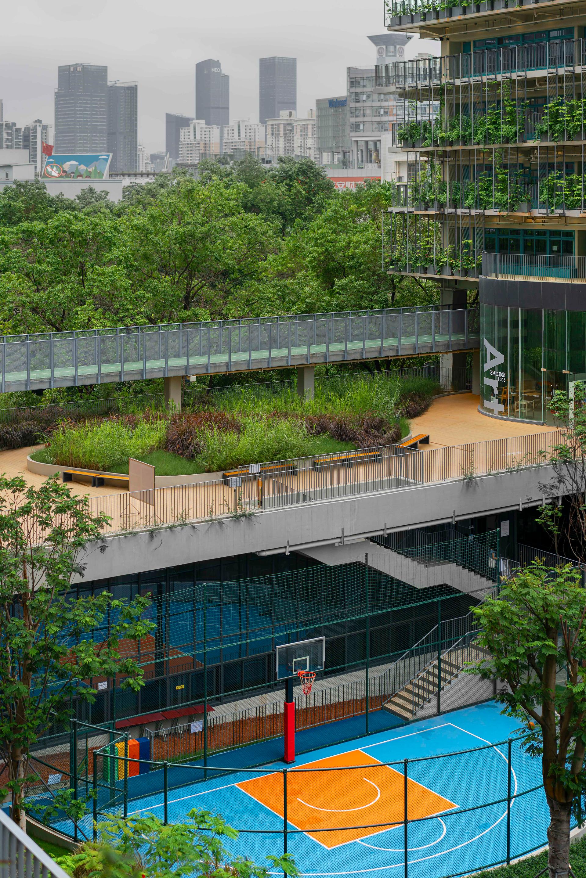 Shenzhen College of International Education - image 4