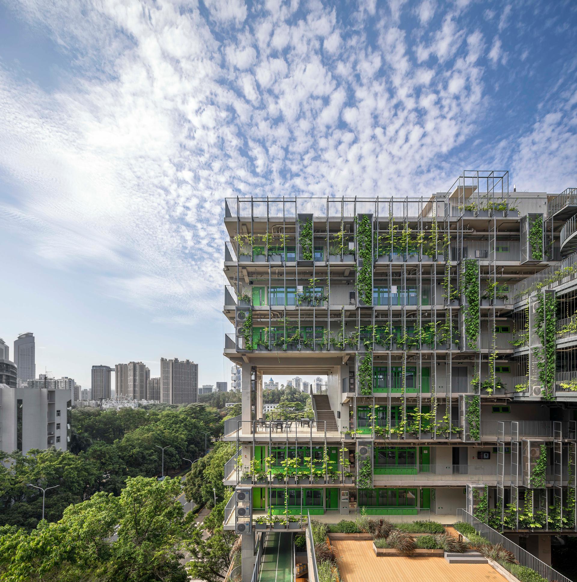 Shenzhen College of International Education - image 6