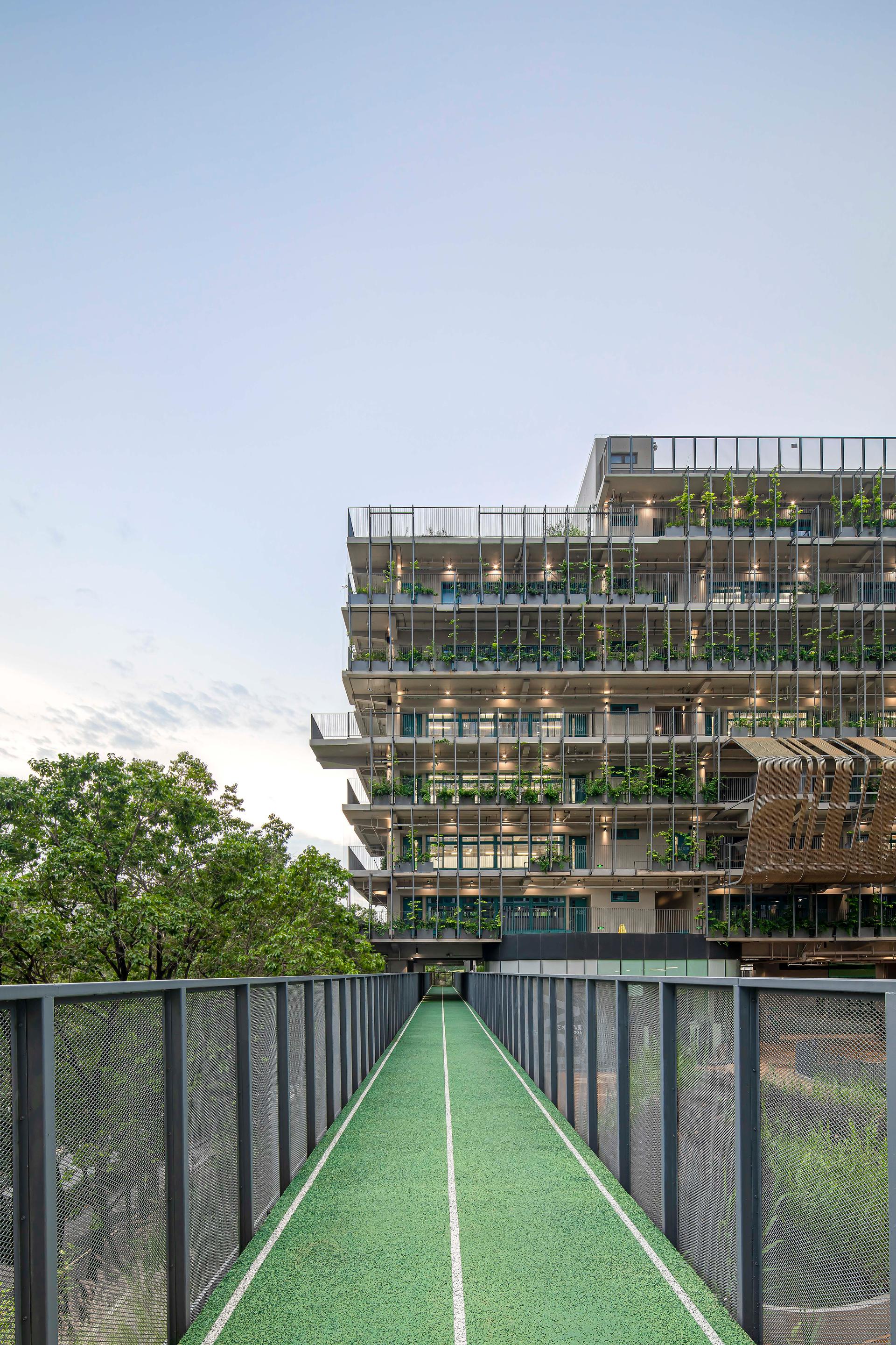 Shenzhen College of International Education - image 9