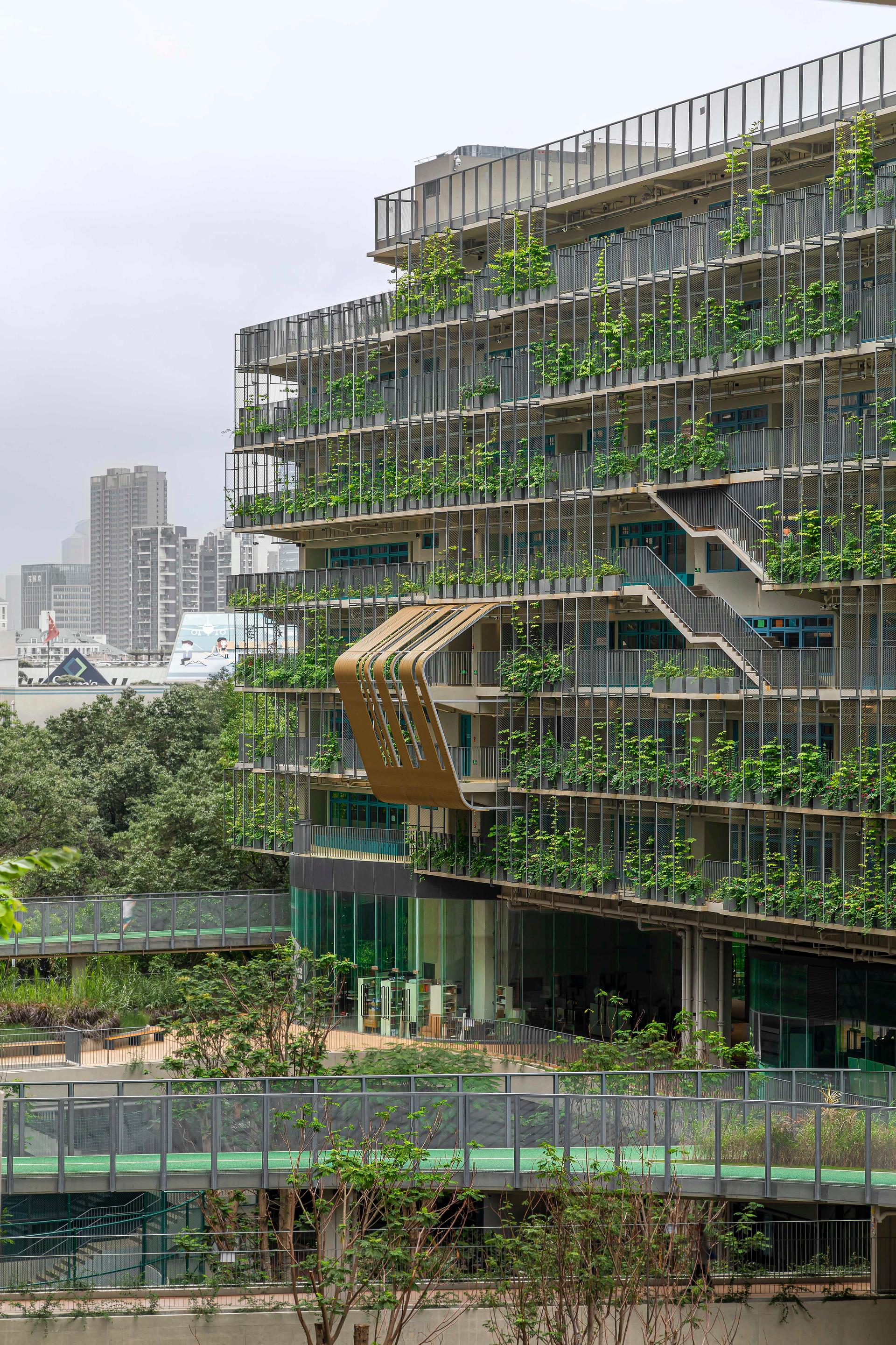 Shenzhen College of International Education - image 14