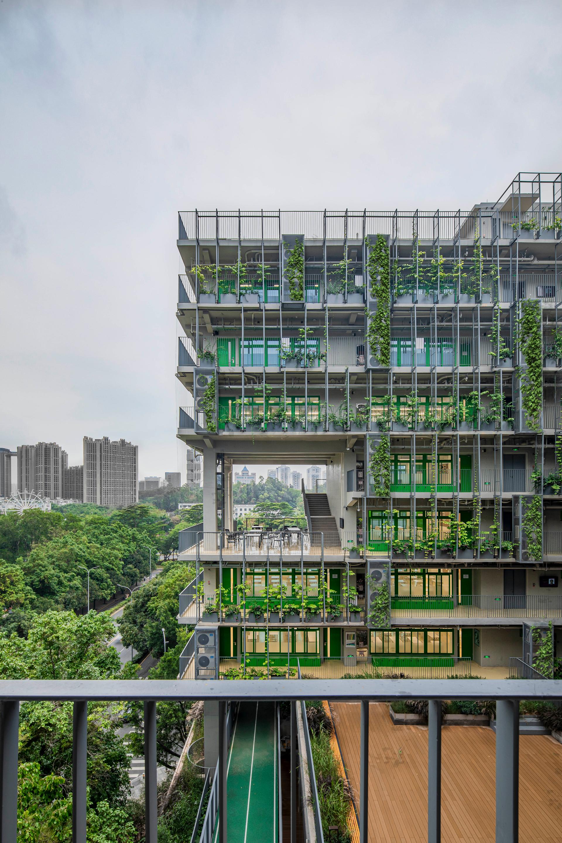 Shenzhen College of International Education - image 17
