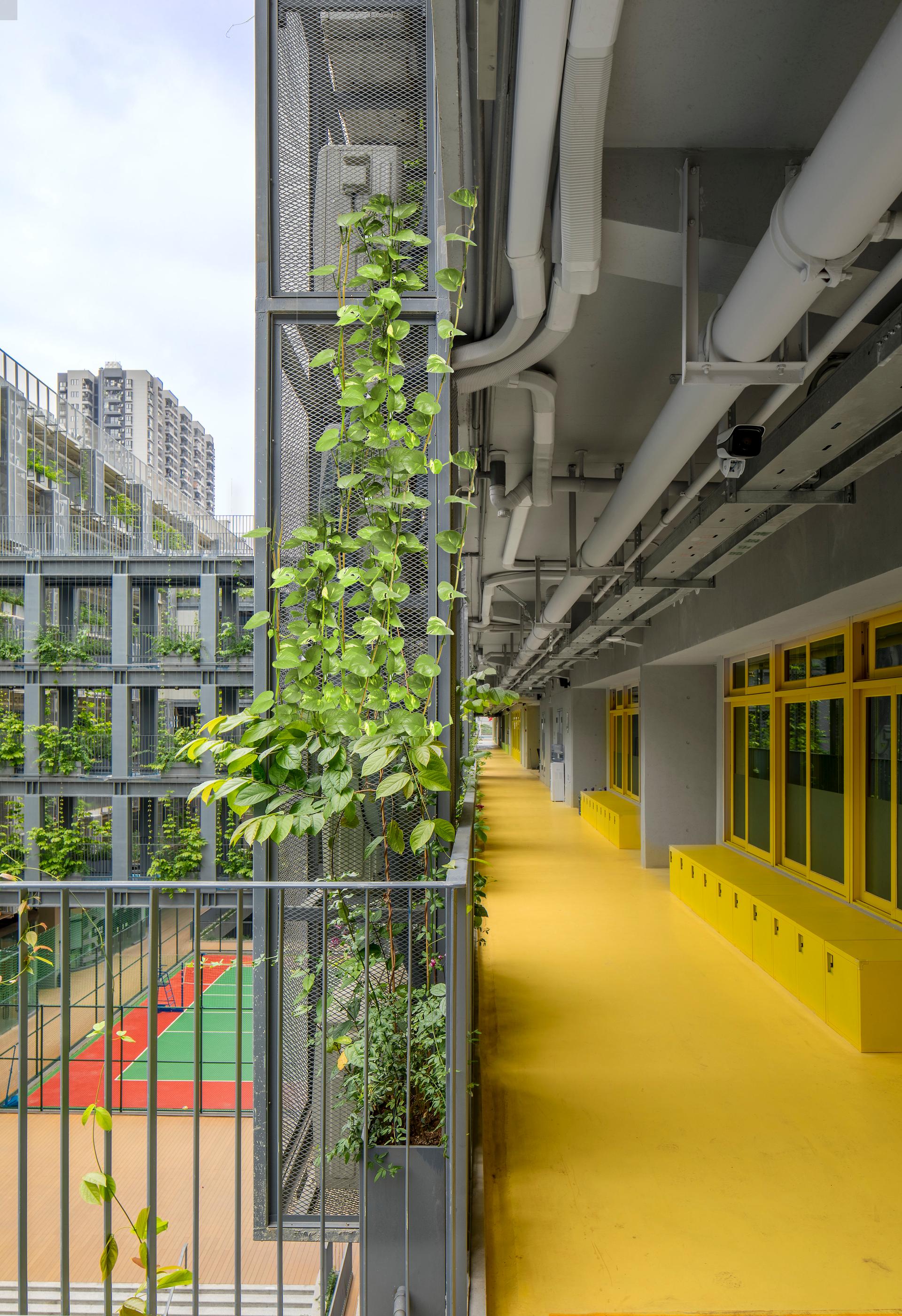 Shenzhen College of International Education - image 19