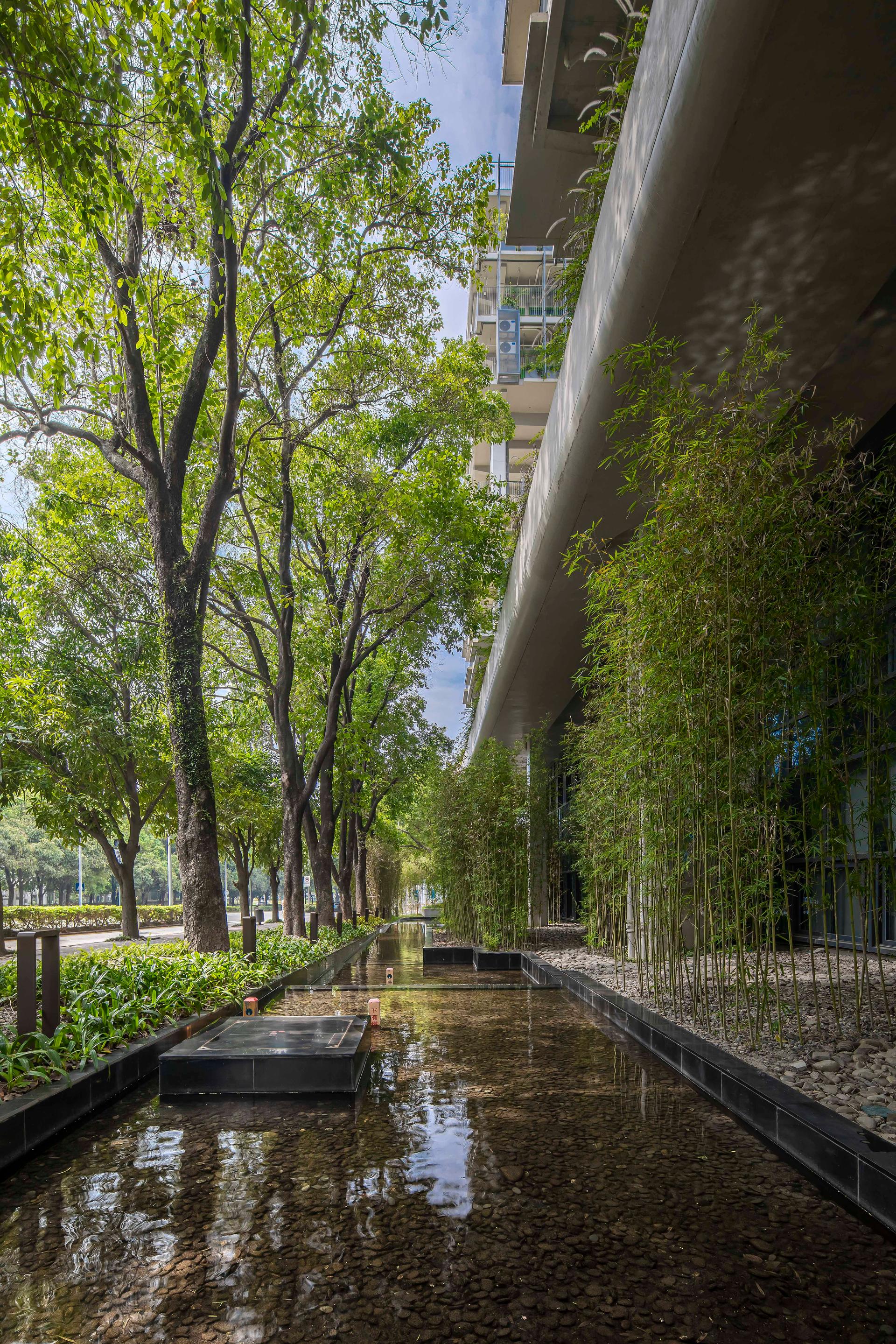 Shenzhen College of International Education - image 20