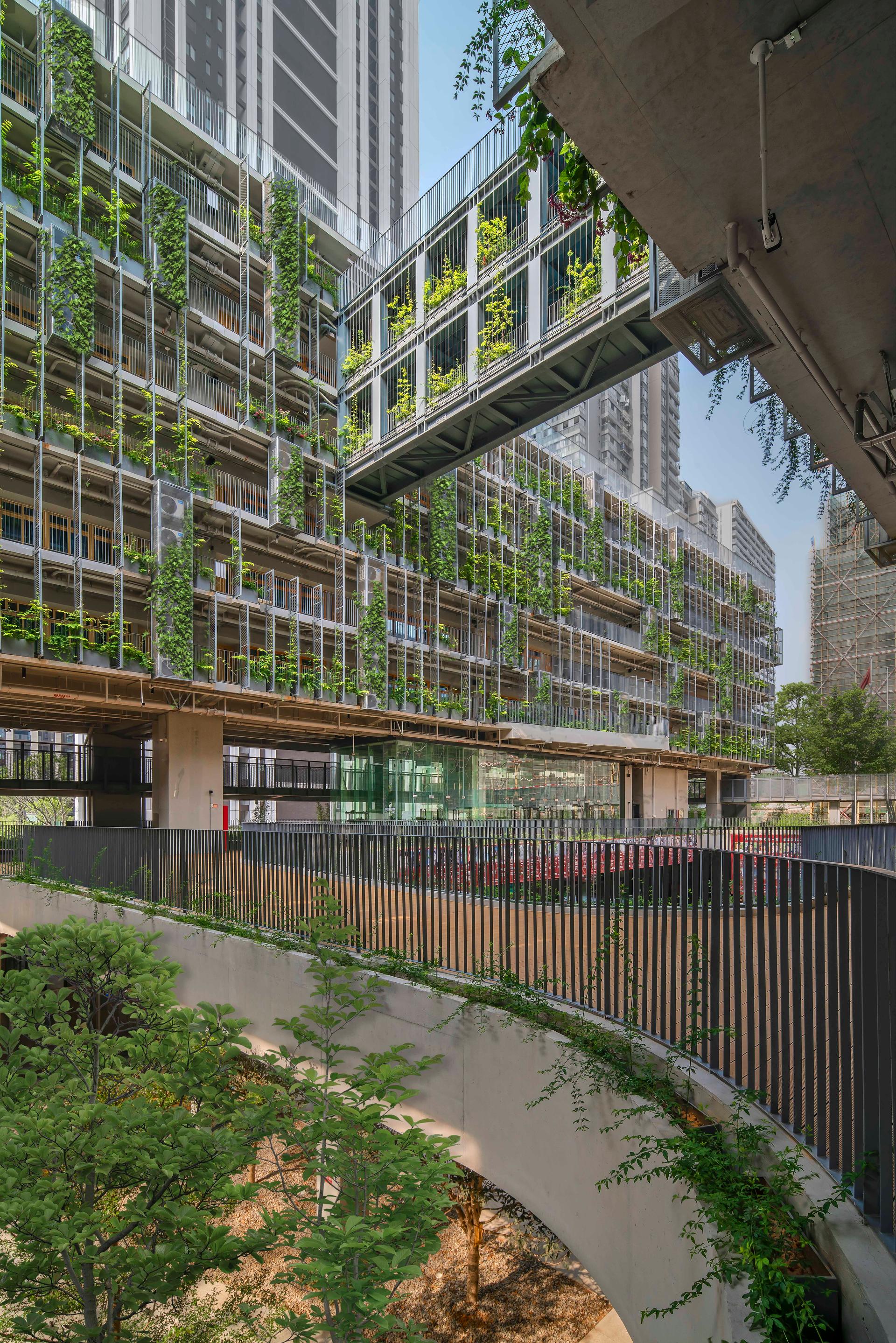 Shenzhen College of International Education - image 21