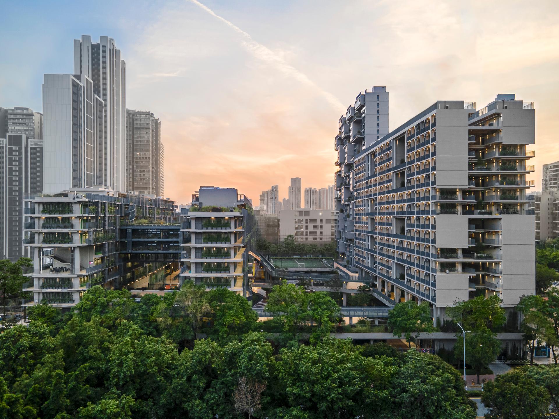 Shenzhen College of International Education - image 22
