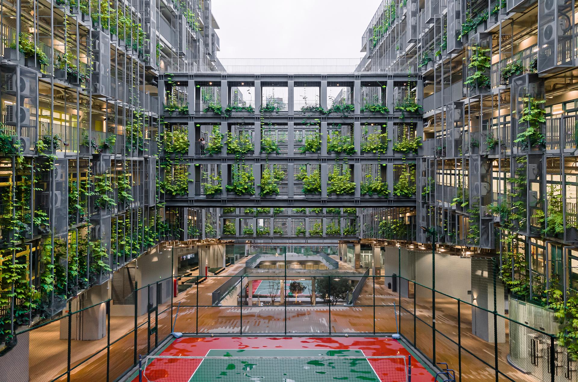 Shenzhen College of International Education - image 24
