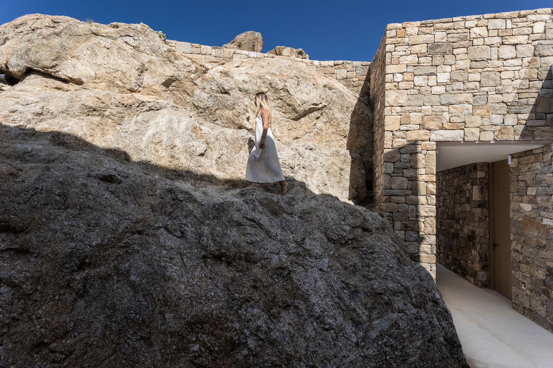Pride Rock - image 4