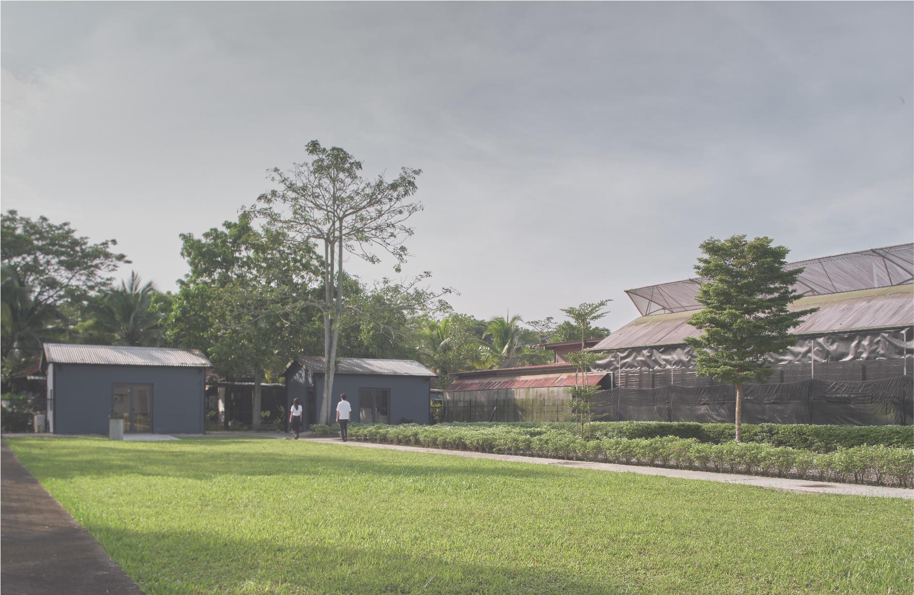 Pet Crematorium - image 9
