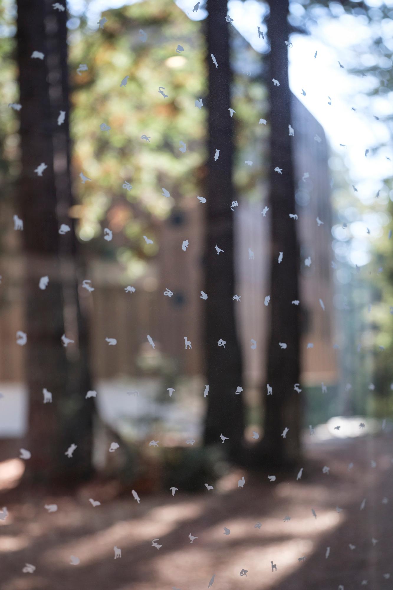 Kresge College Expansion at the University of California, Santa Cruz - image 9
