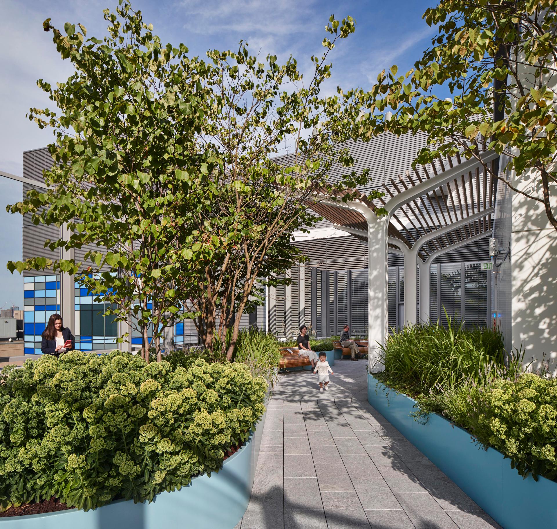 Boston Children's Hospital Urban Green Design - image 17