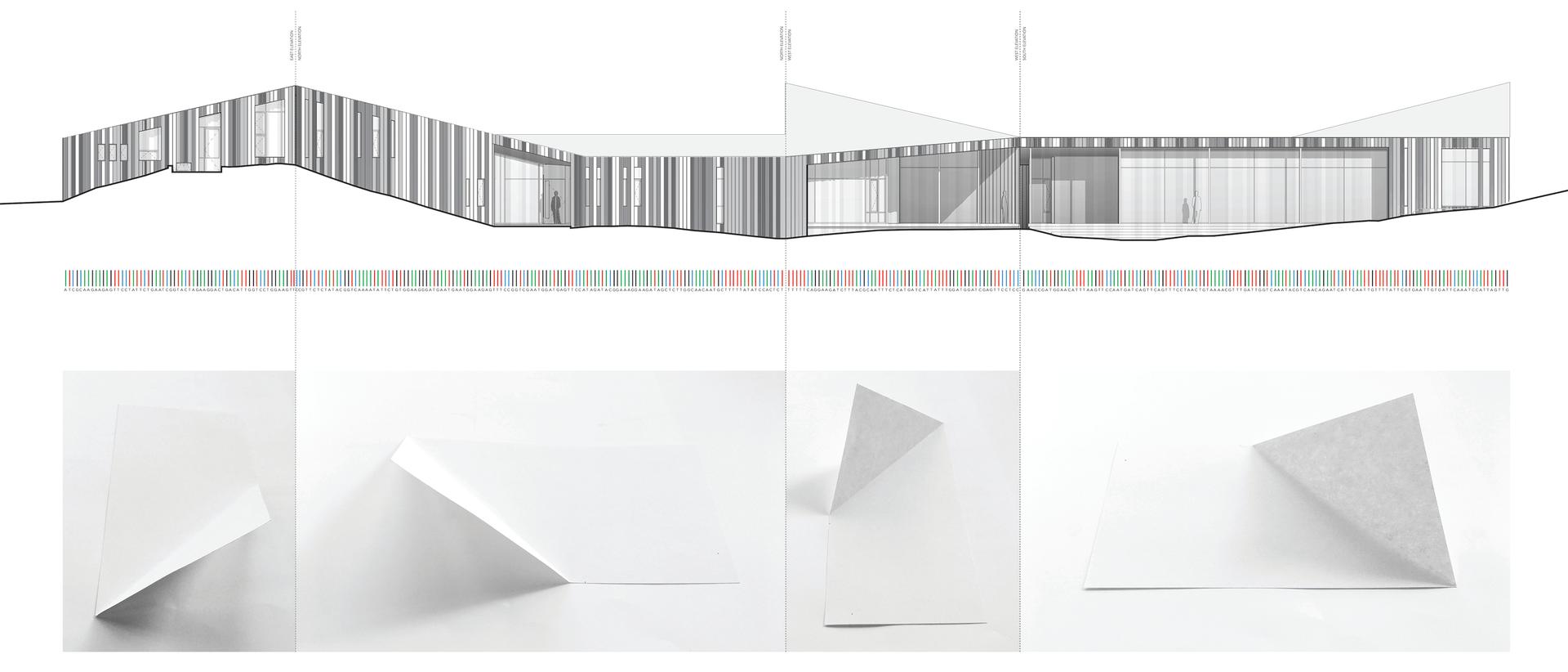 DNA Alpine - image 6