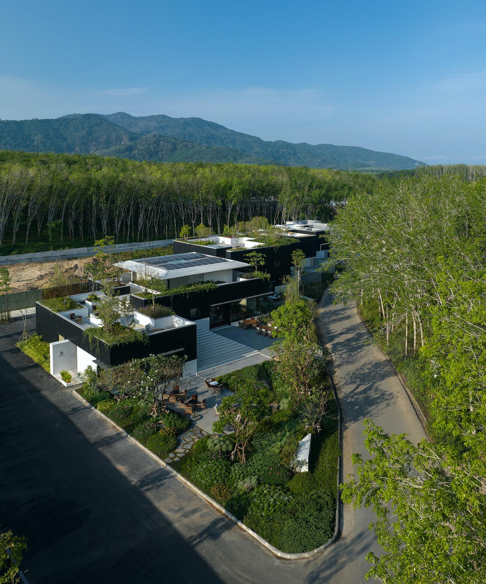 Tree O'clock — Villa Qabalah - image 6