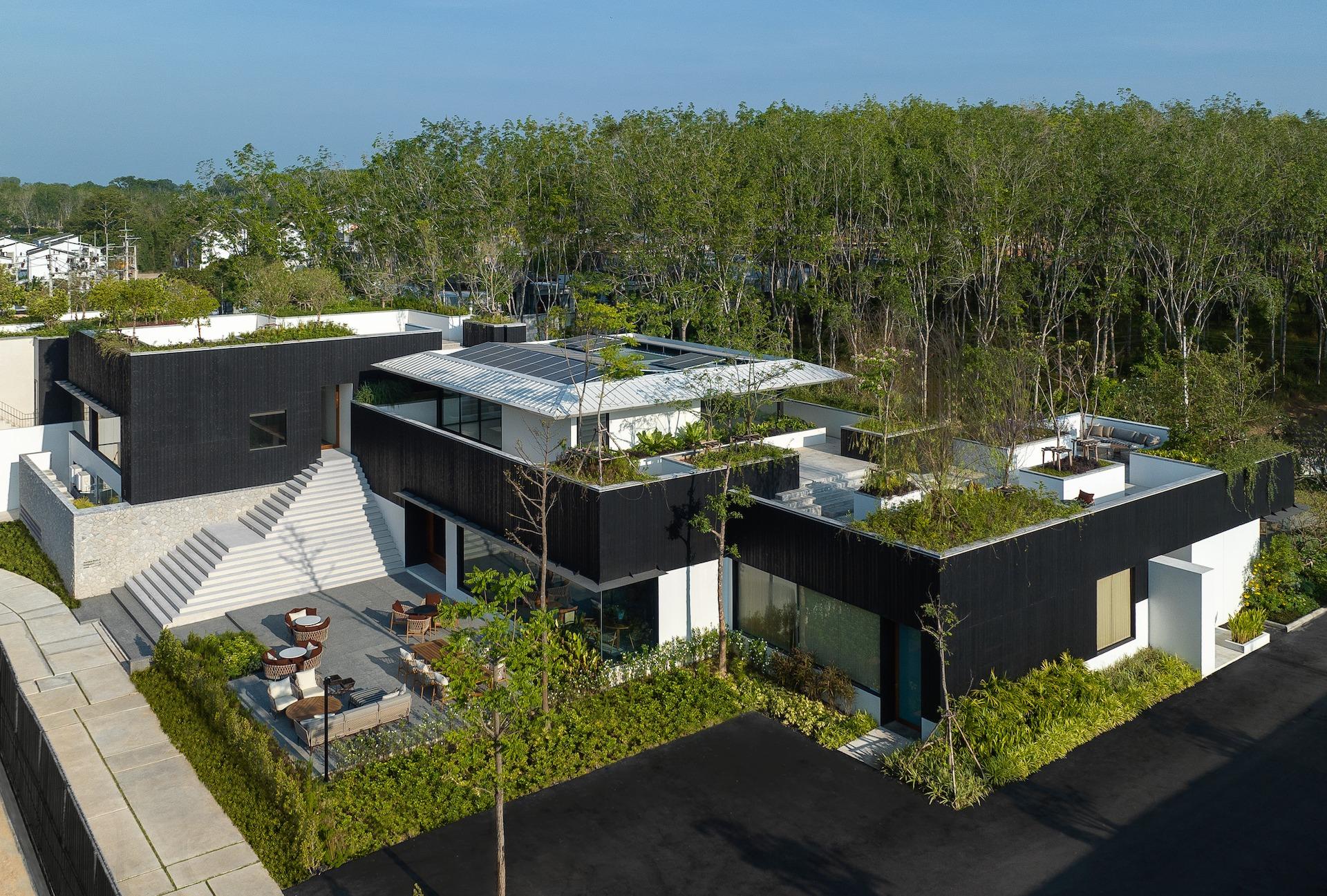 Tree O'clock — Villa Qabalah - image 2