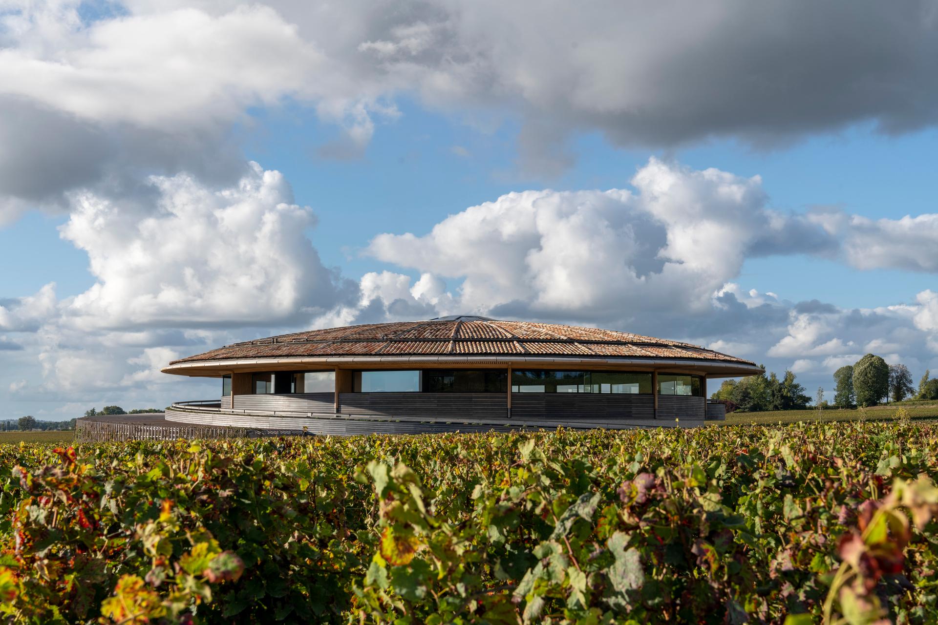 Le Dôme Winery - image 2