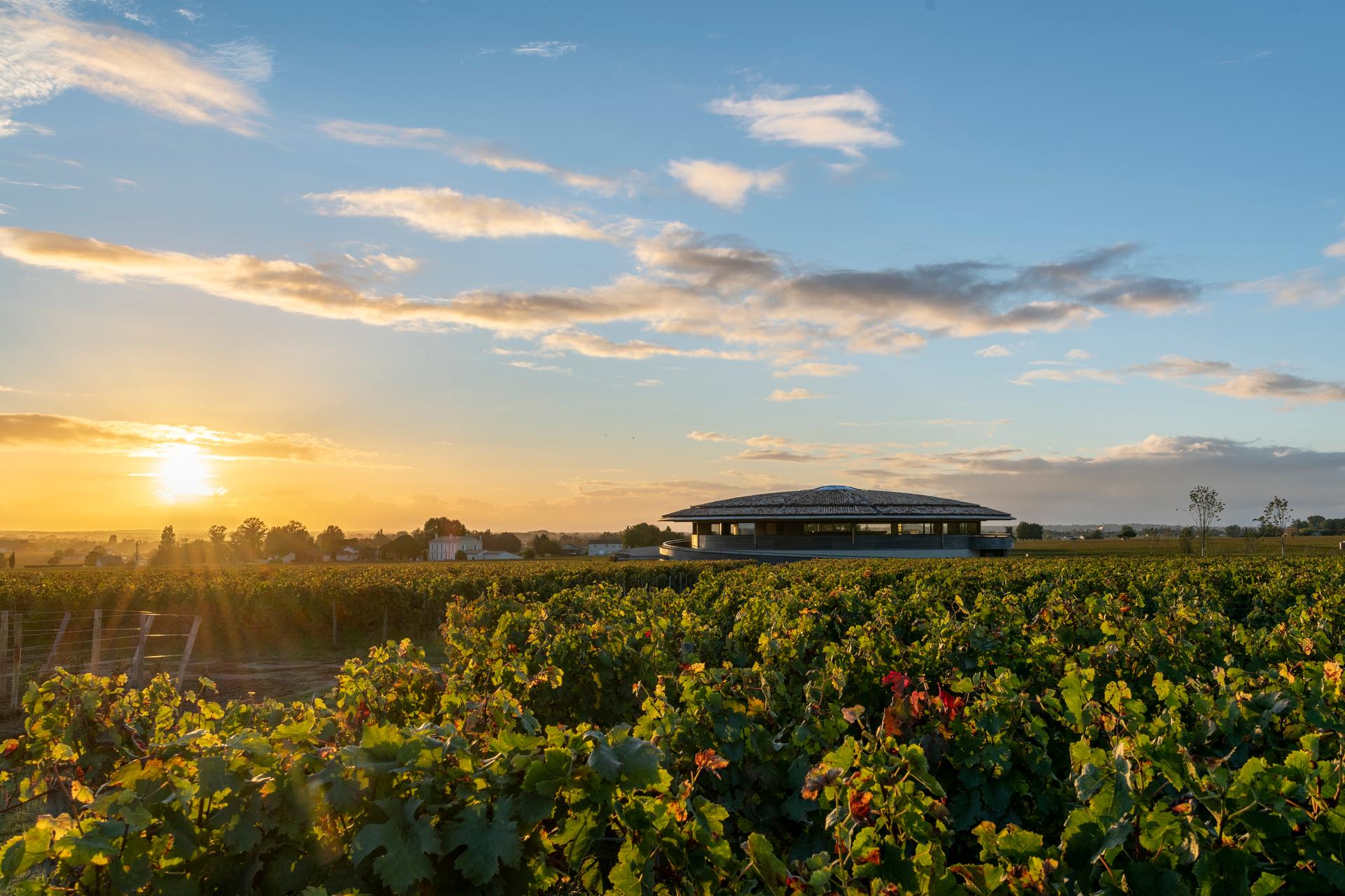 Le Dôme Winery