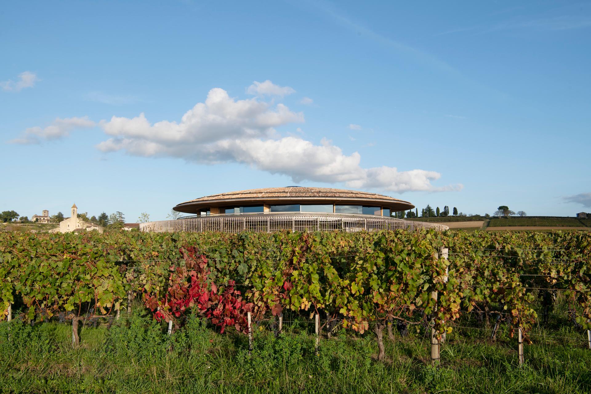 Le Dôme Winery - image 10