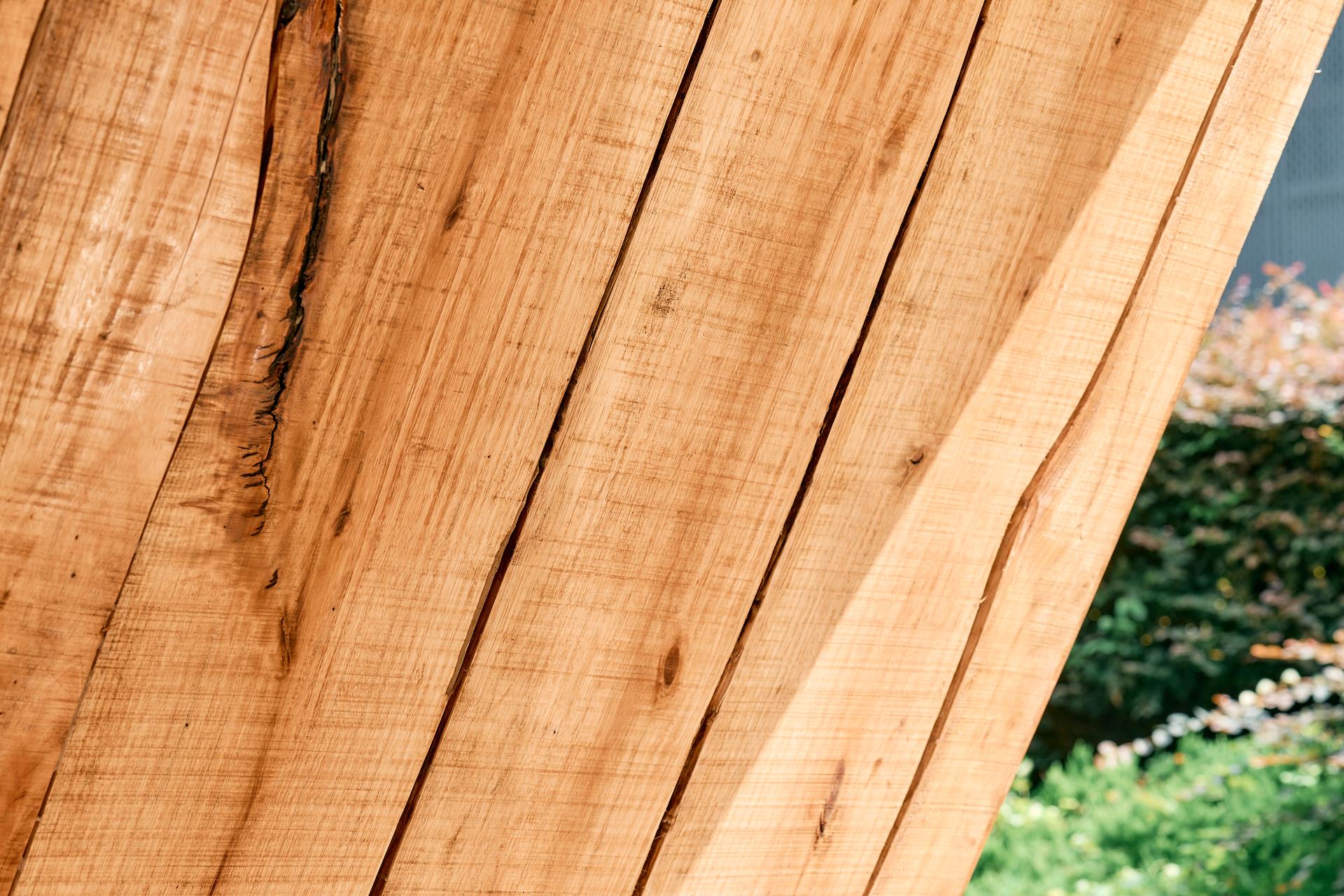 AI Timber - image 3