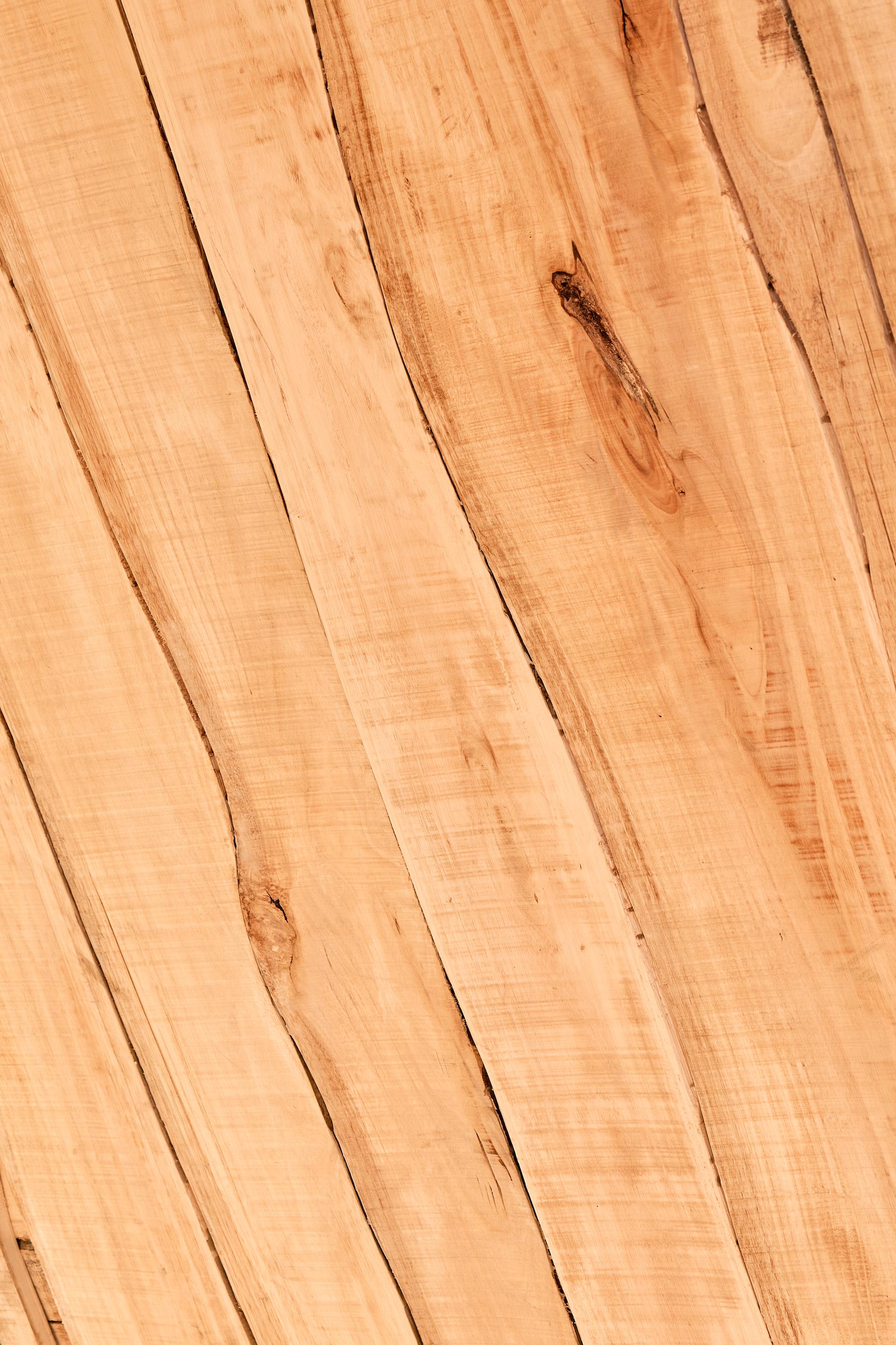 AI Timber - image 4