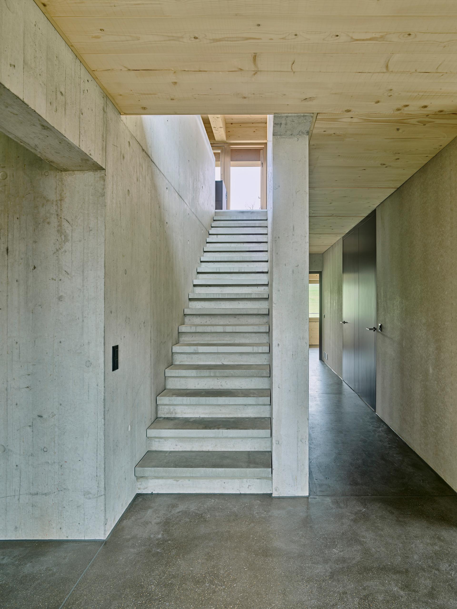 Totoro house - image 5