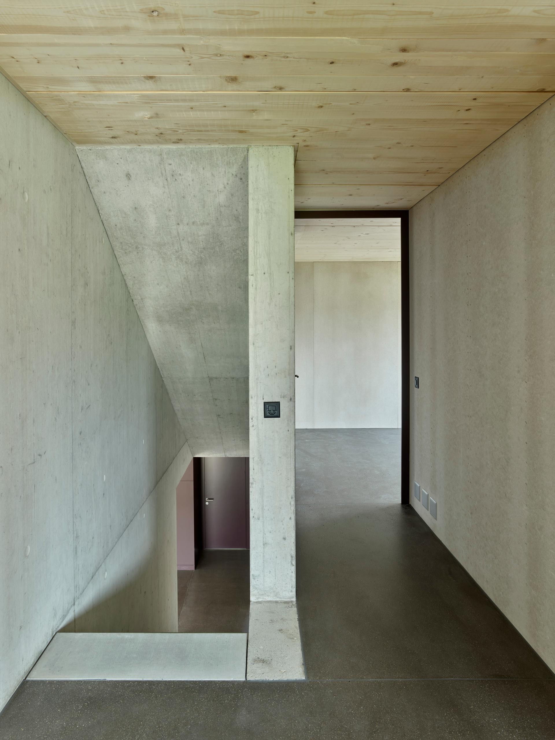 Totoro house - image 6