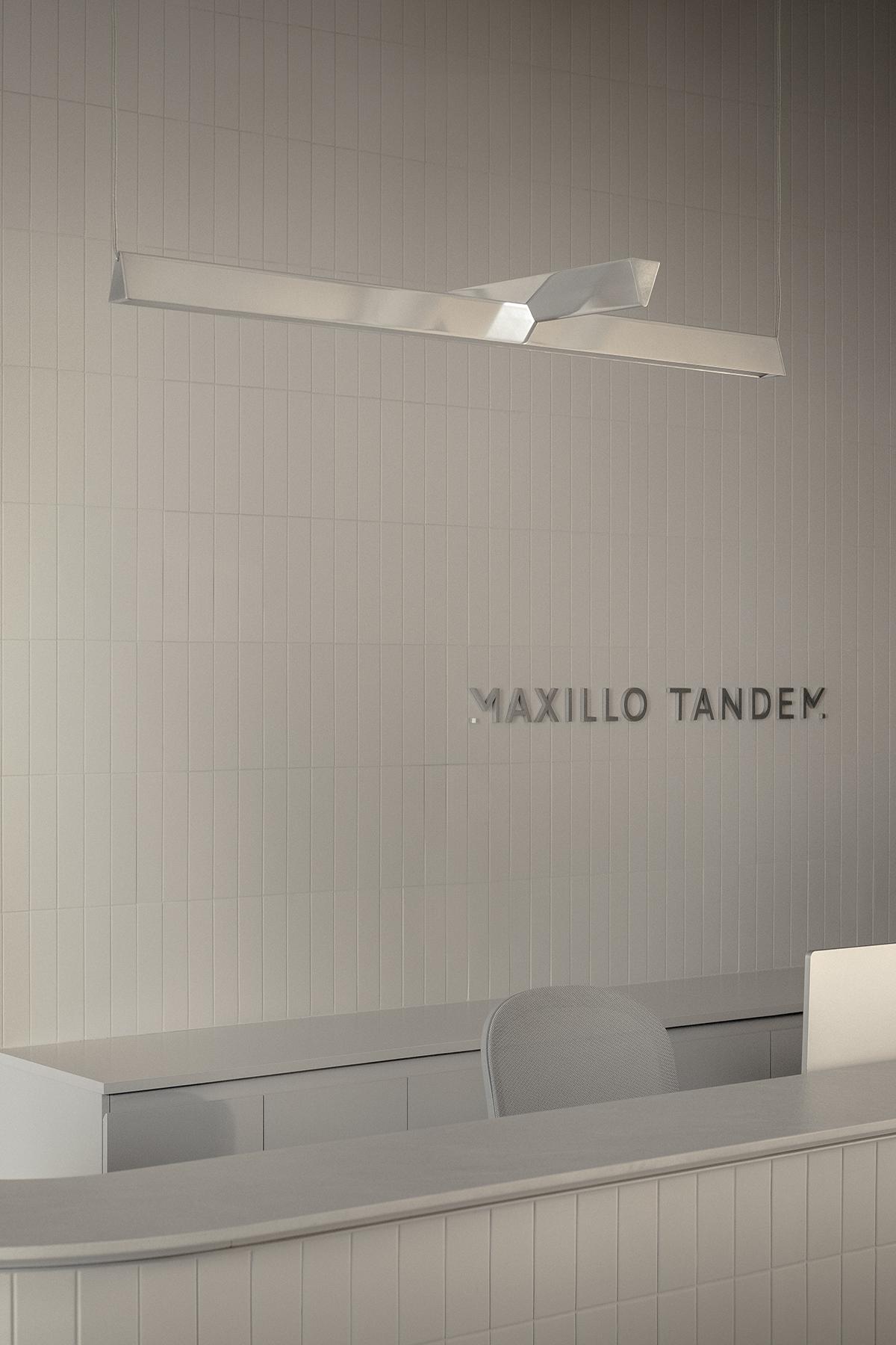 Maxillo Tandem - image 13