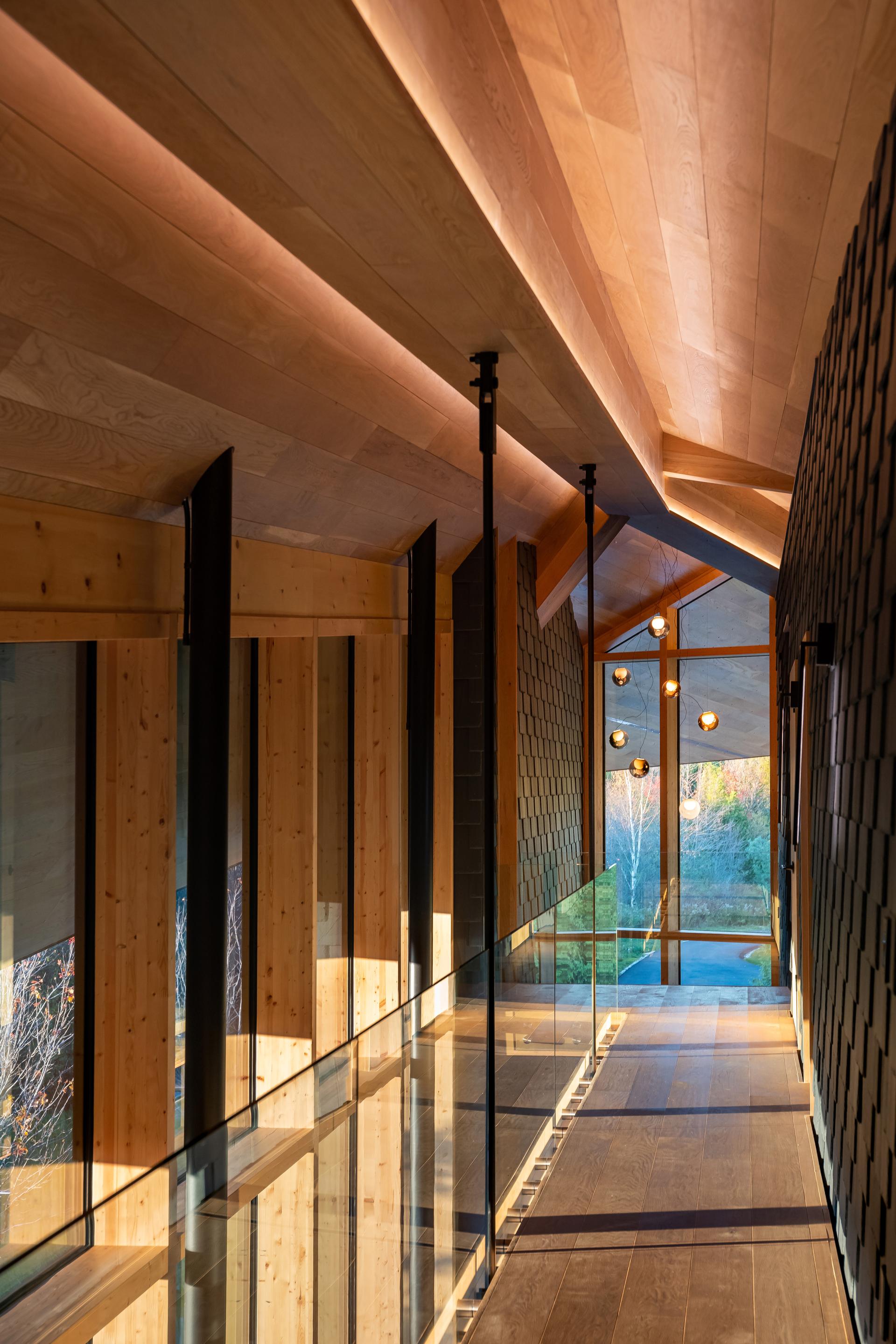Forest Retreat - image 5