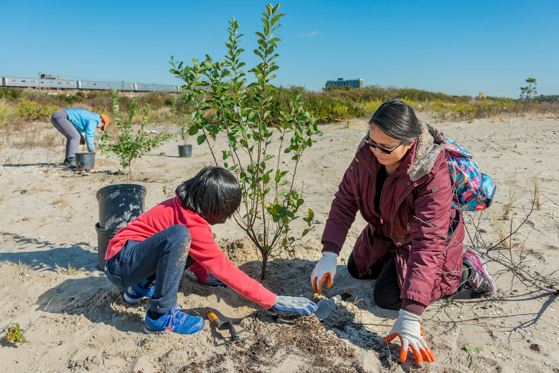 Arverne East Coastal Conservation Center and Nature Preserve - image 12