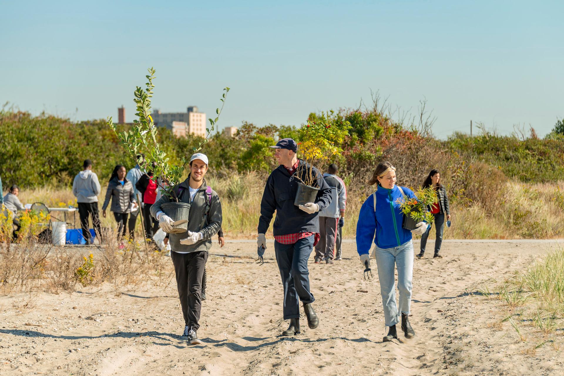 Arverne East Coastal Conservation Center and Nature Preserve - image 11
