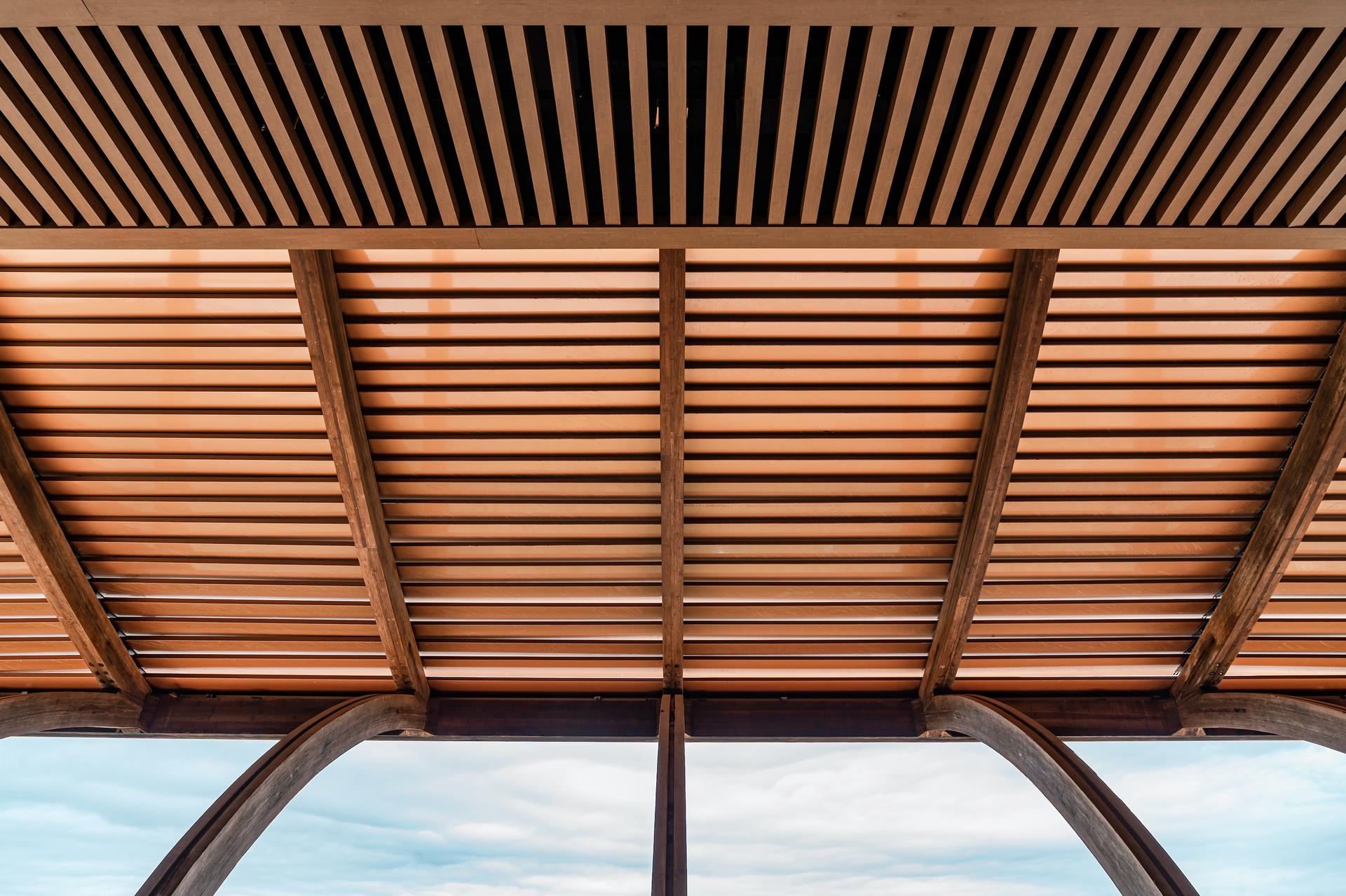 Danjing Pavilion of Longquan Mountain Urban Forest Park - image 12
