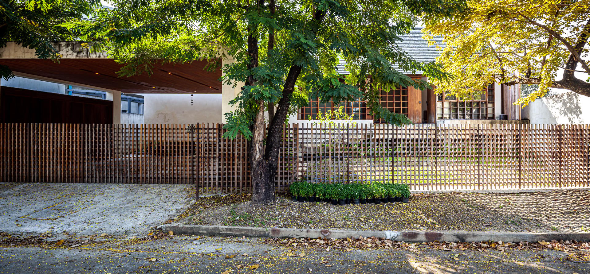 Seen House - image 4