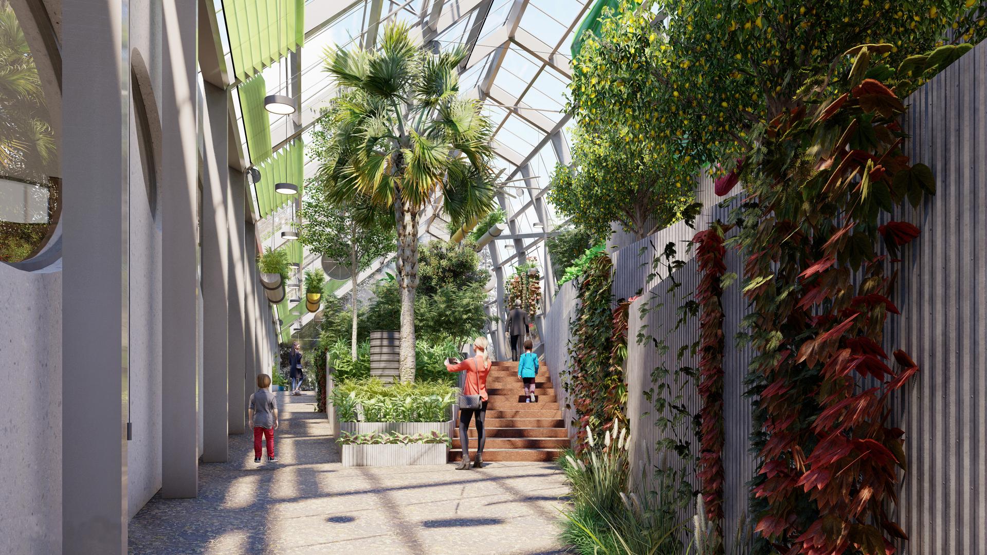 Foodscapes 3: Urban Agricultural Plan for the Fayetteville Public Library - image 6