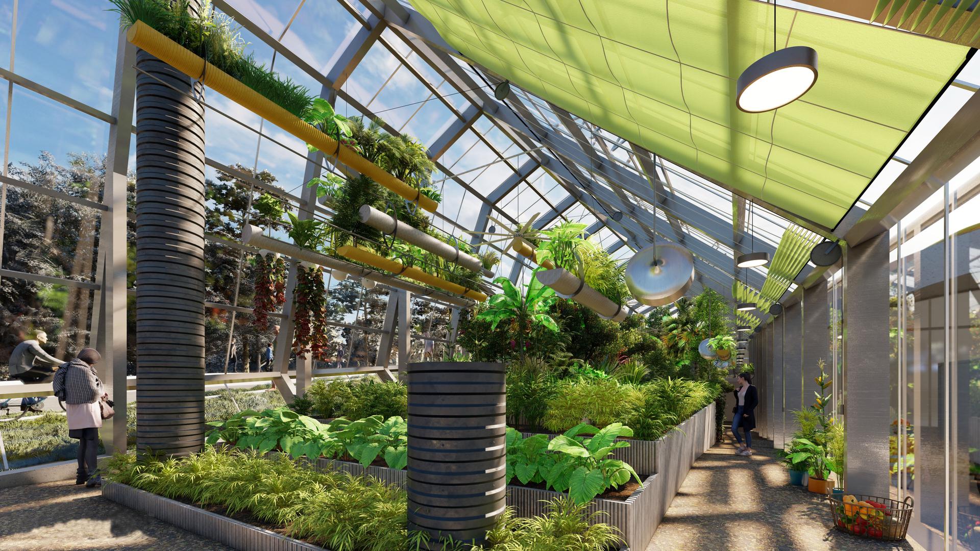 Foodscapes 3: Urban Agricultural Plan for the Fayetteville Public Library - image 9
