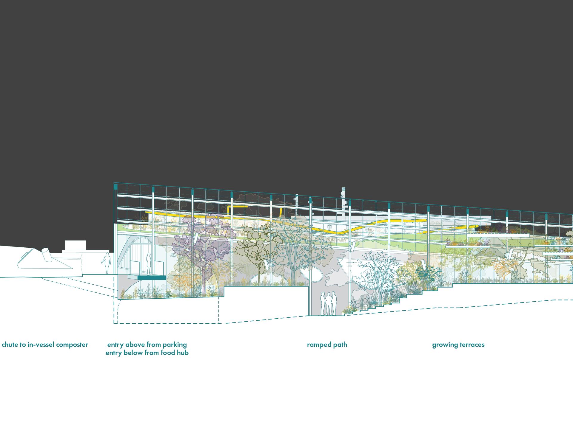 Foodscapes 3: Urban Agricultural Plan for the Fayetteville Public Library - image 11