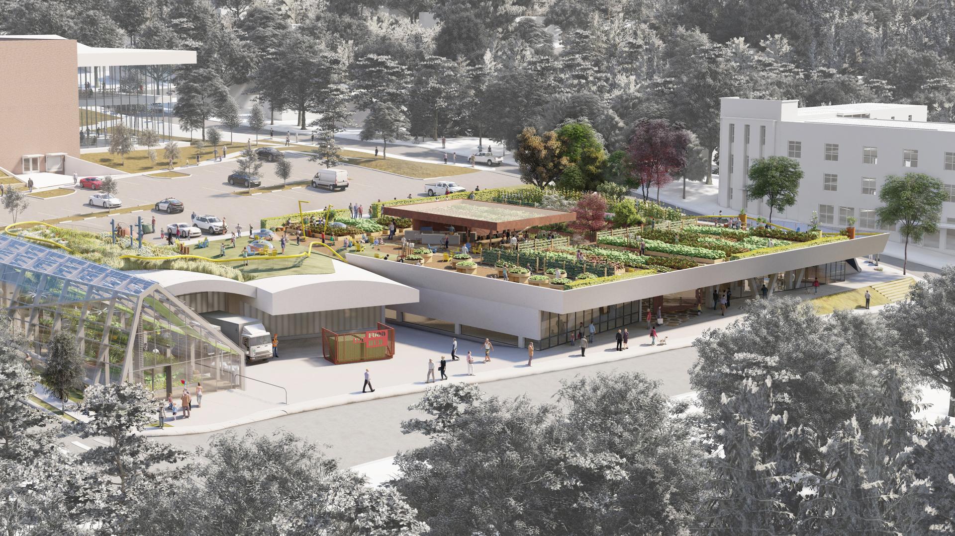 Foodscapes 3: Urban Agricultural Plan for the Fayetteville Public Library - image 12