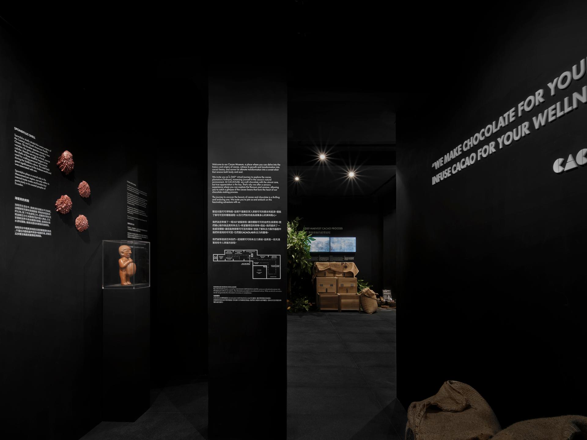 Cacaolab Flagship Store - image 15