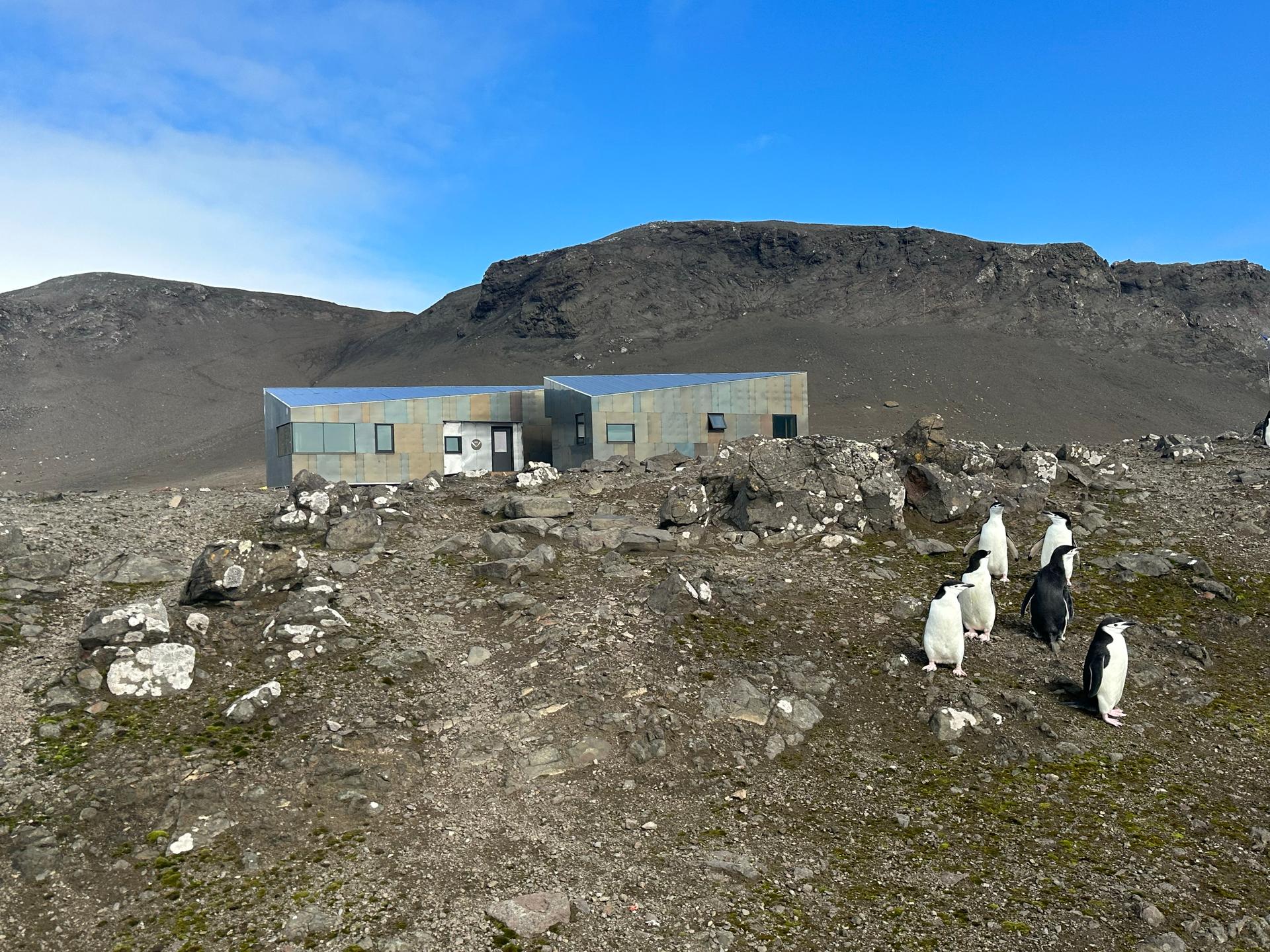 Holt Watters Field Camp - image 2
