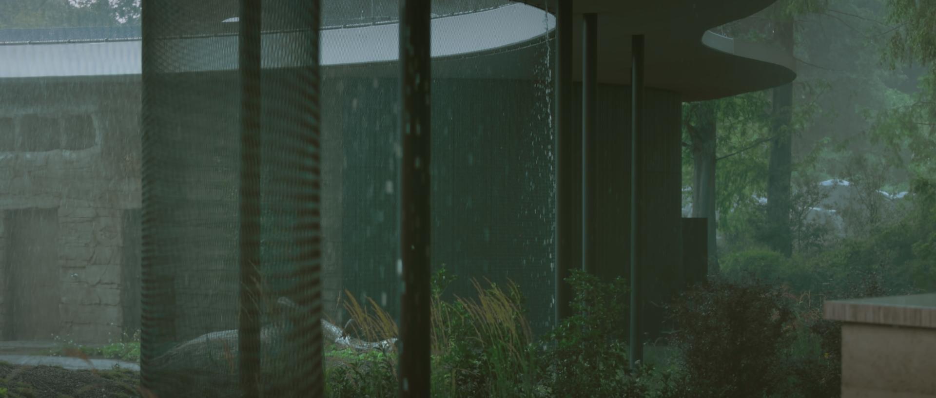 short film│new park center luisenpark mannheim - image 5