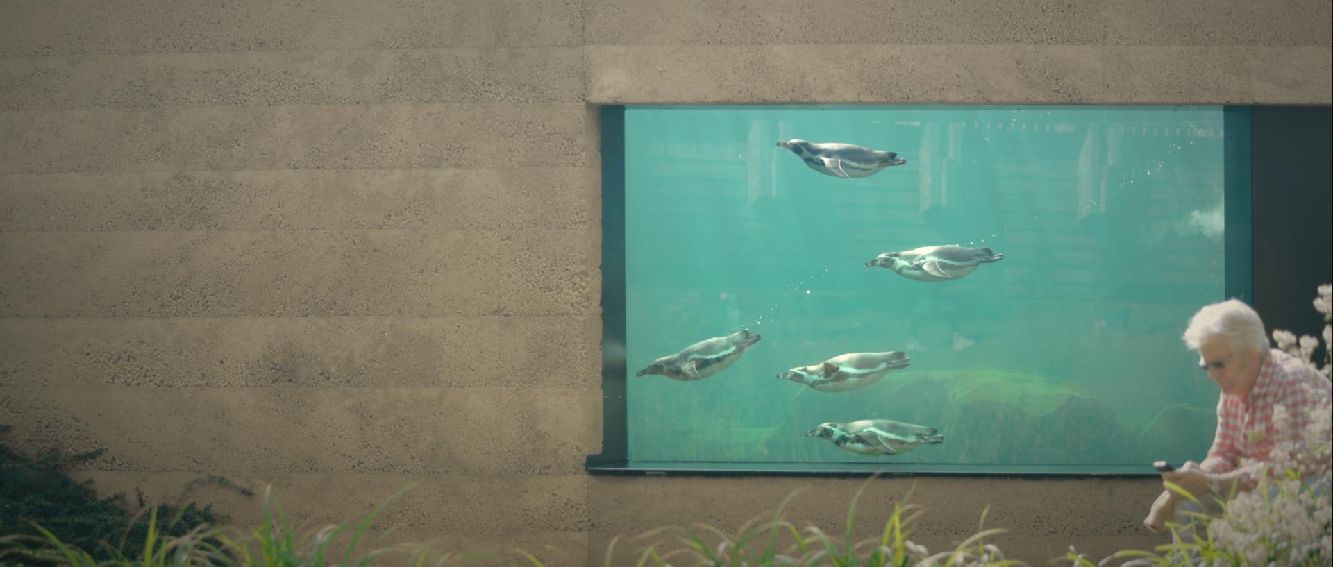 short film│new park center luisenpark mannheim - image 3