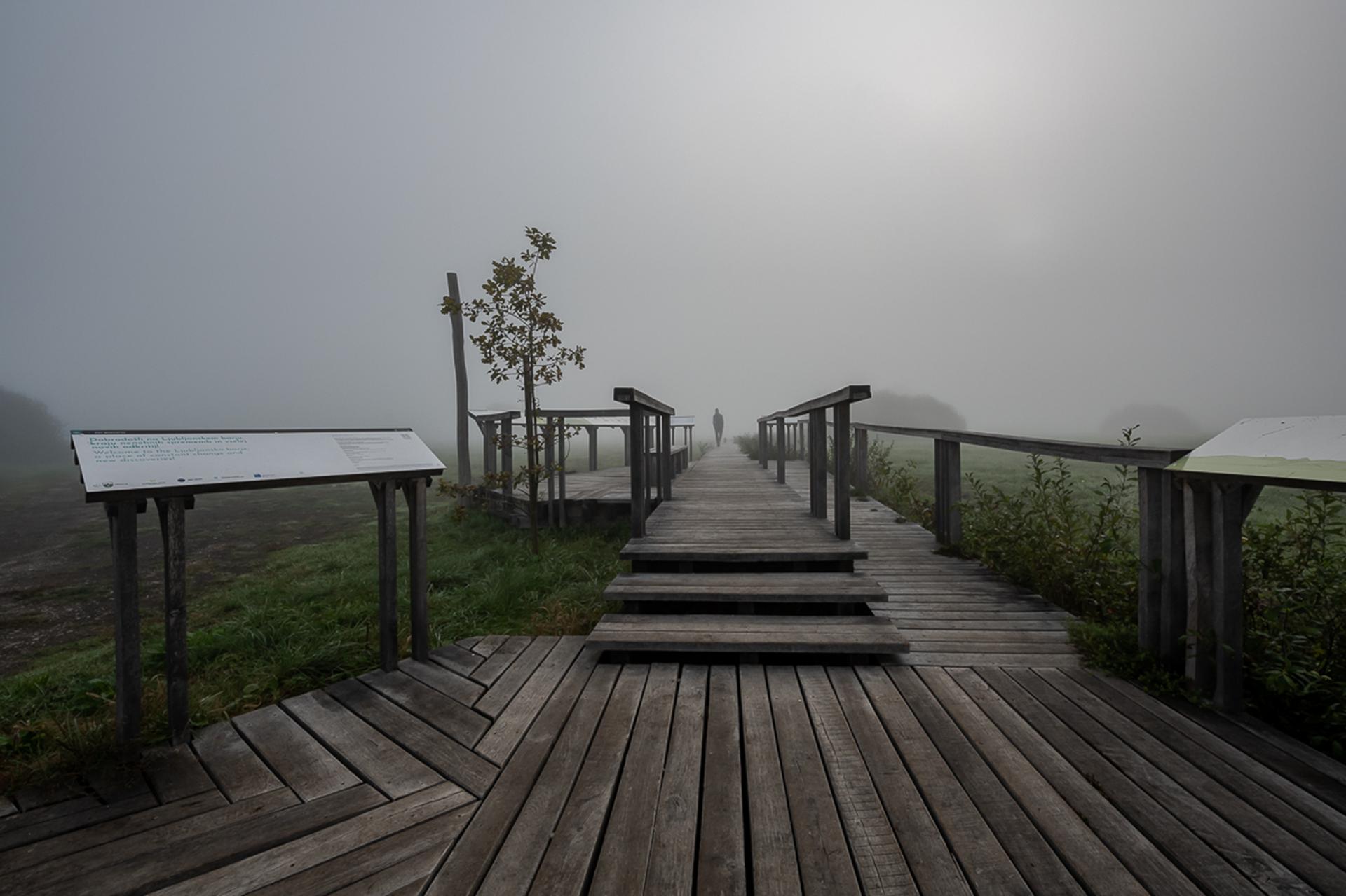 Interpretation Center of Biodiversity and Pile Dwellings in the Ljubljana Marsh Nature Park - image 13