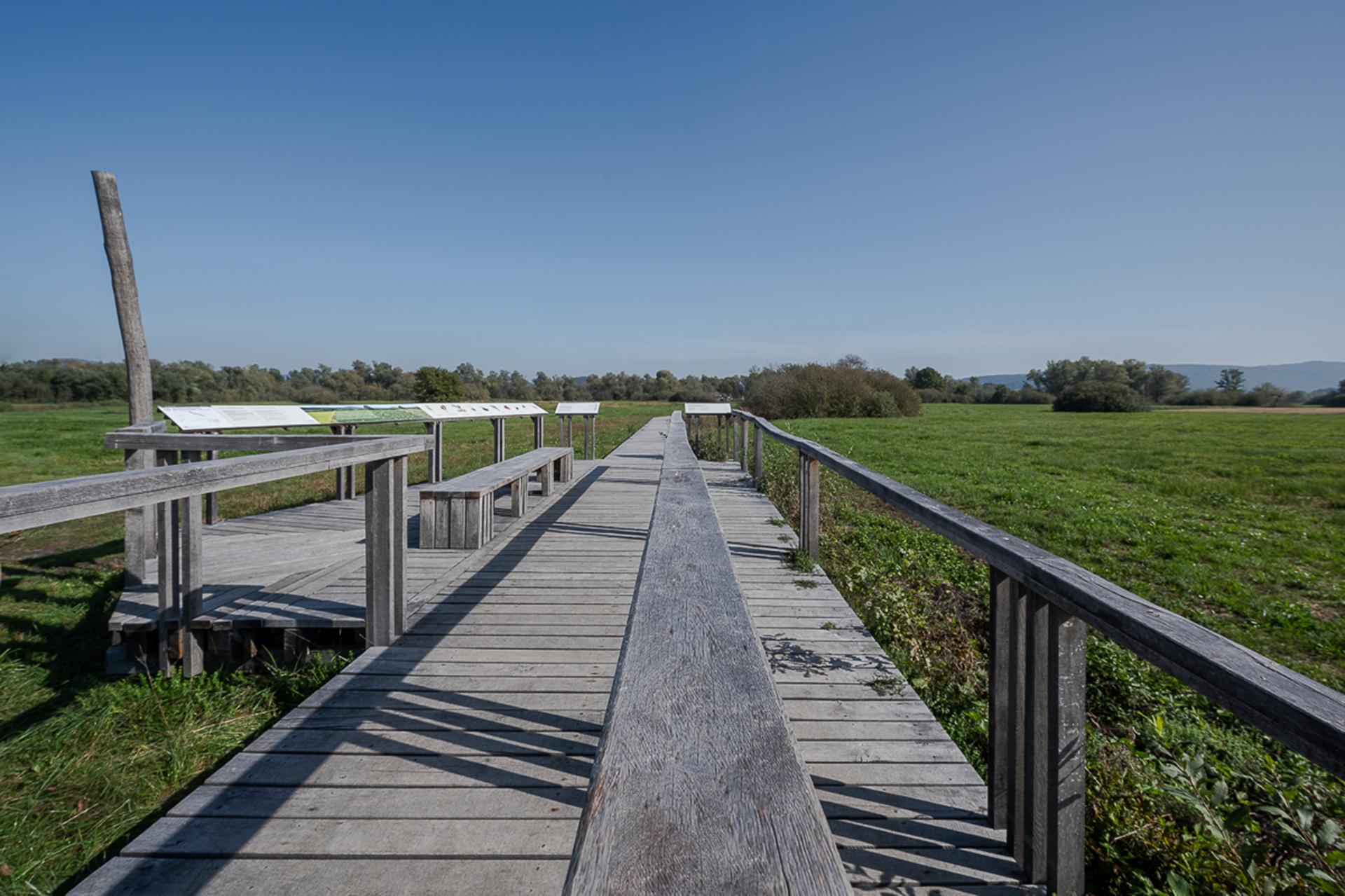 Interpretation Center of Biodiversity and Pile Dwellings in the Ljubljana Marsh Nature Park - image 14