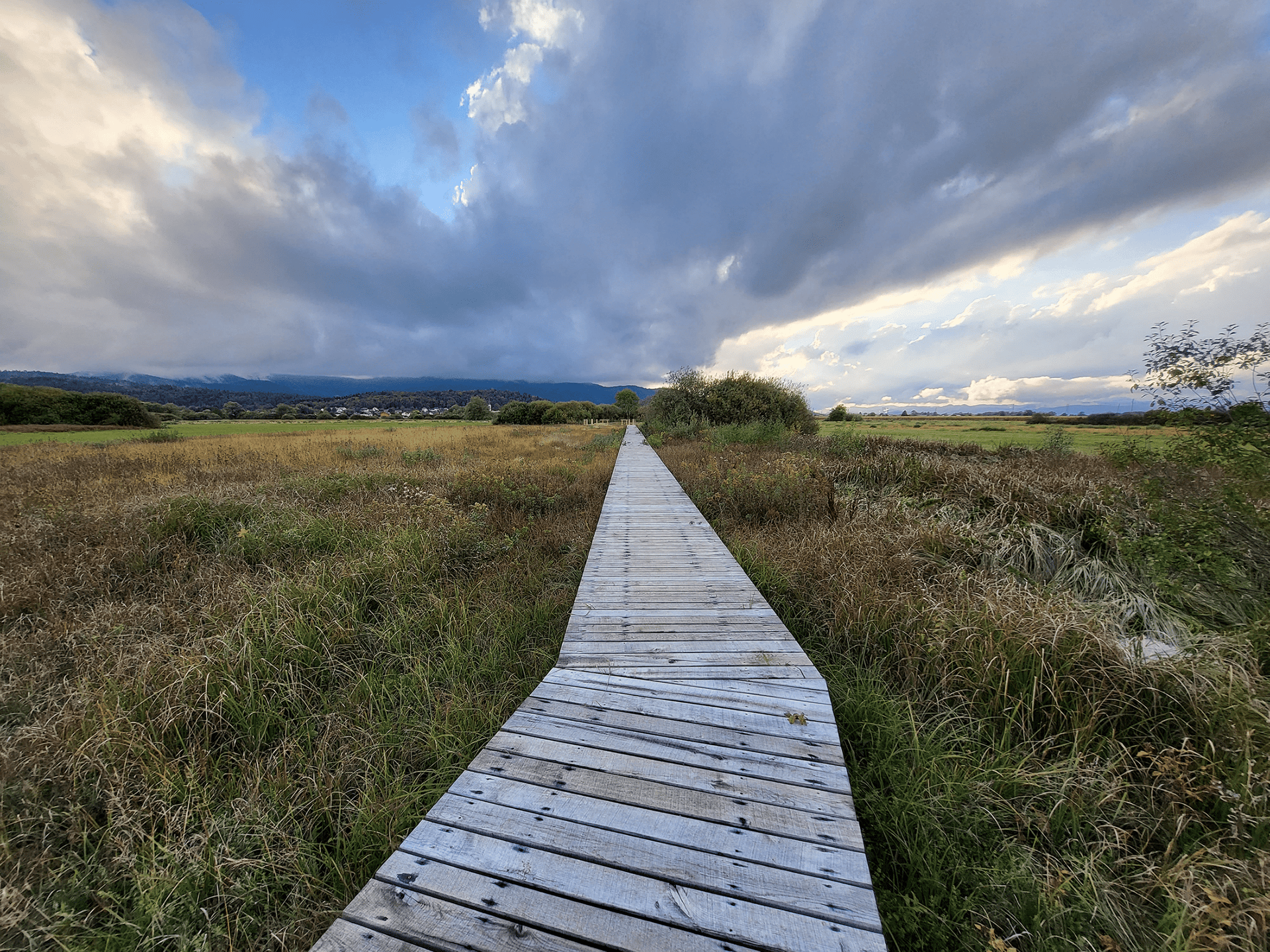 Interpretation Center of Biodiversity and Pile Dwellings in the Ljubljana Marsh Nature Park - image 15